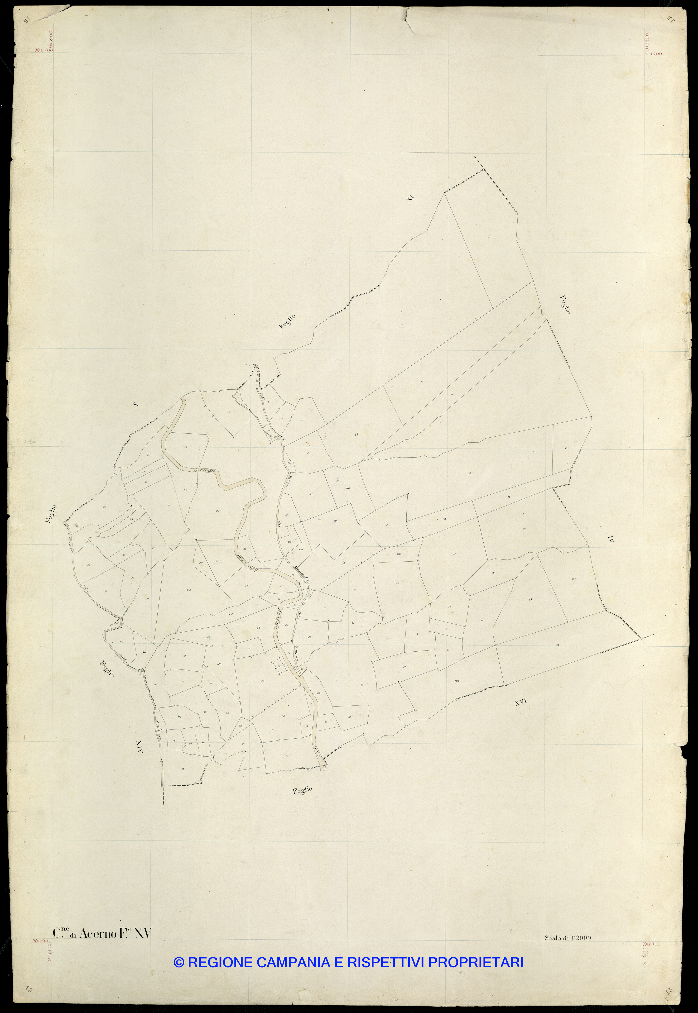 Mappa