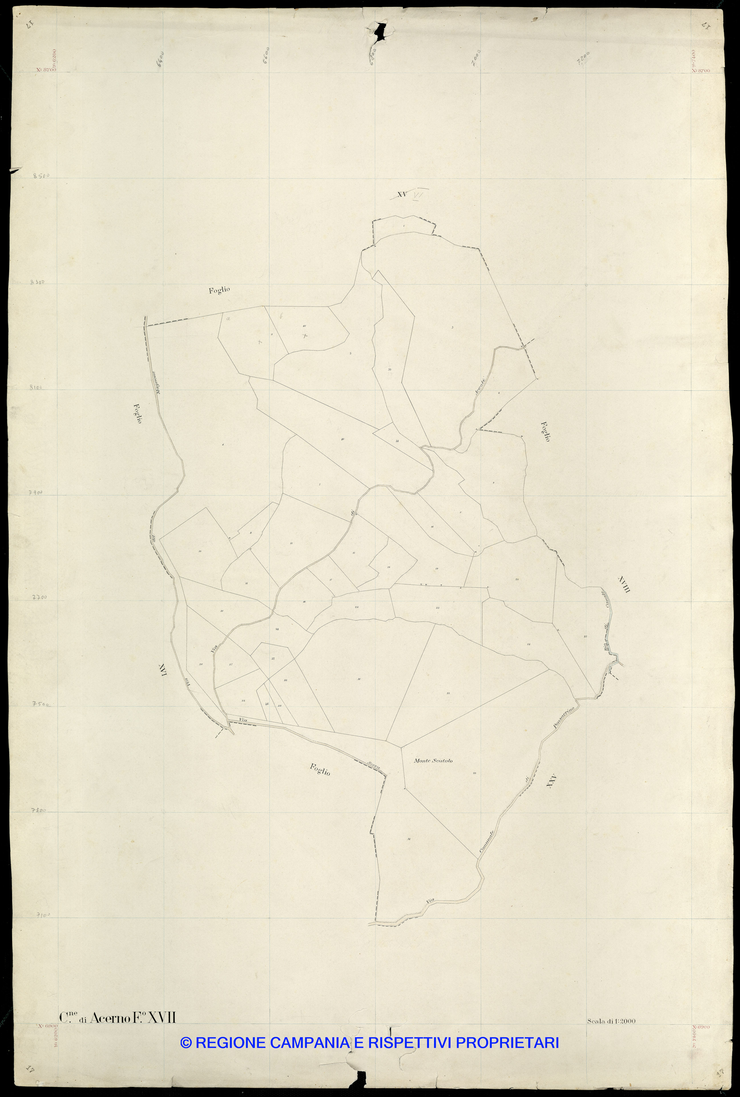 Mappa