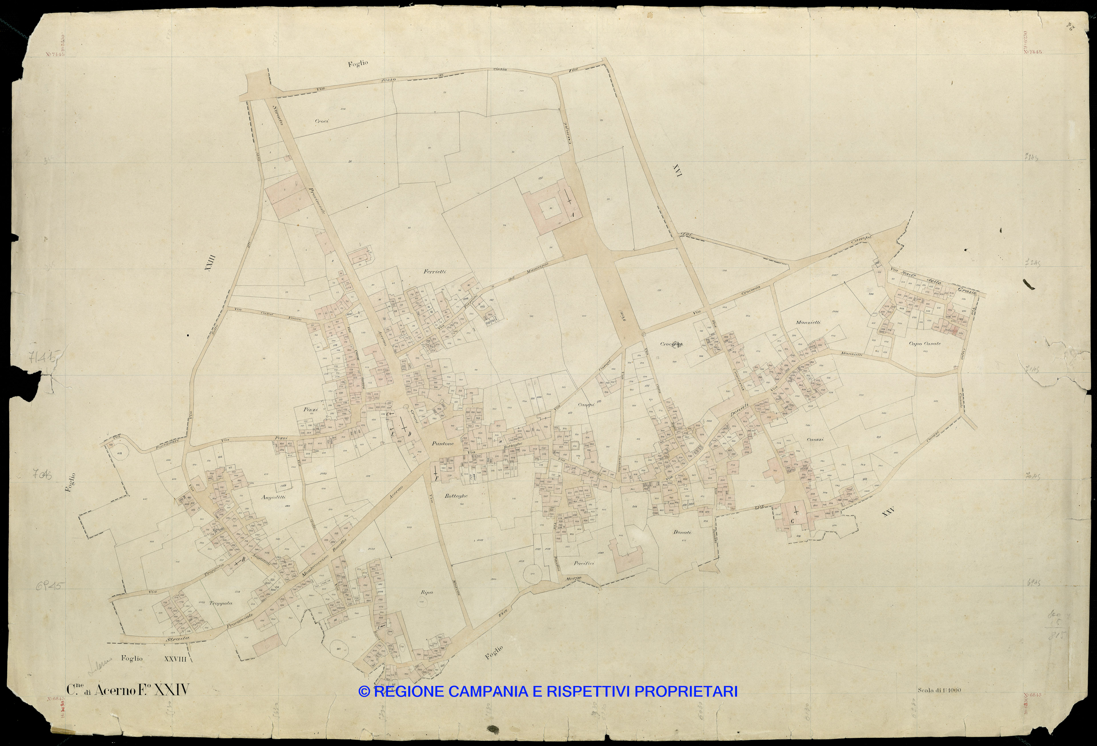 Mappa