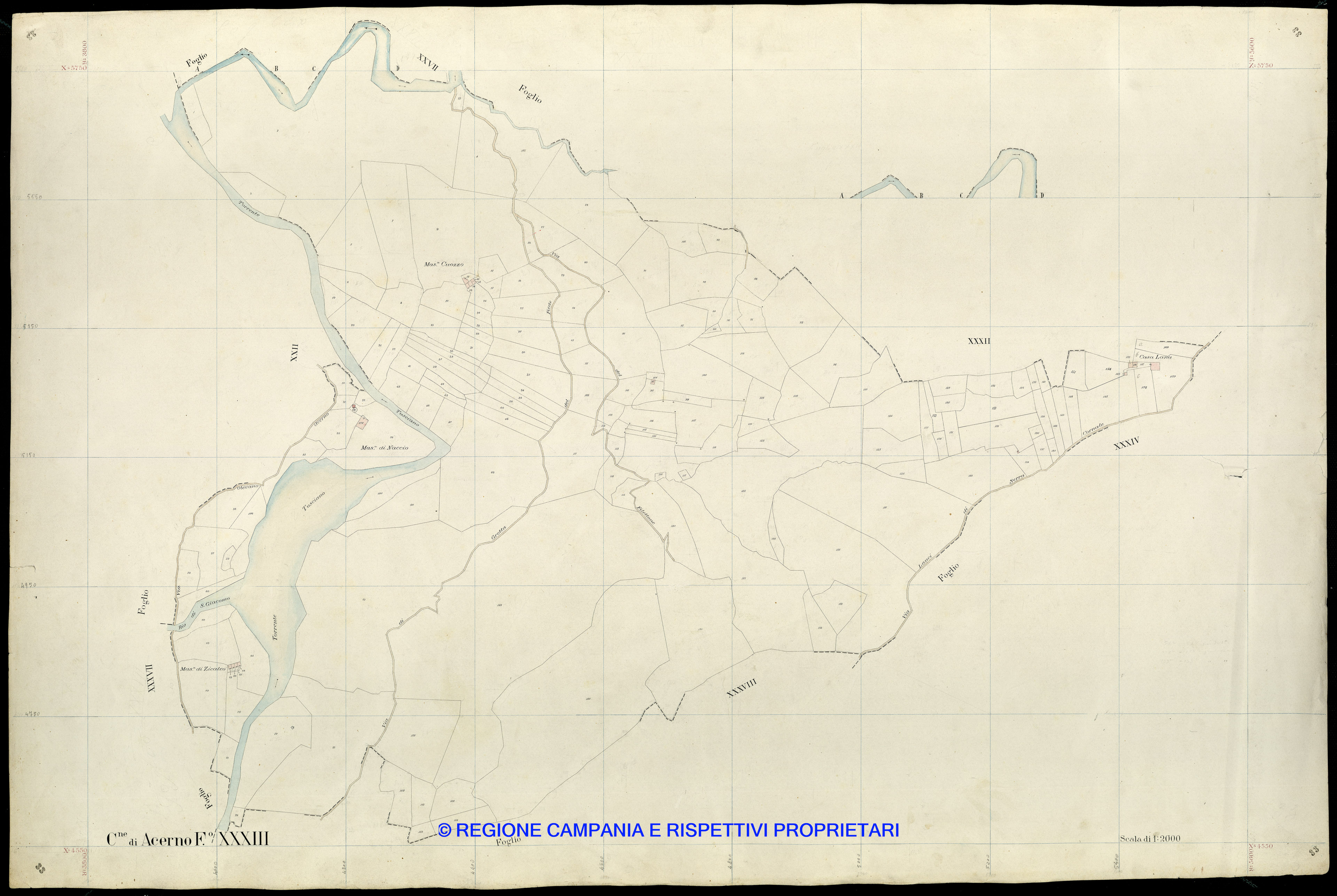 Mappa