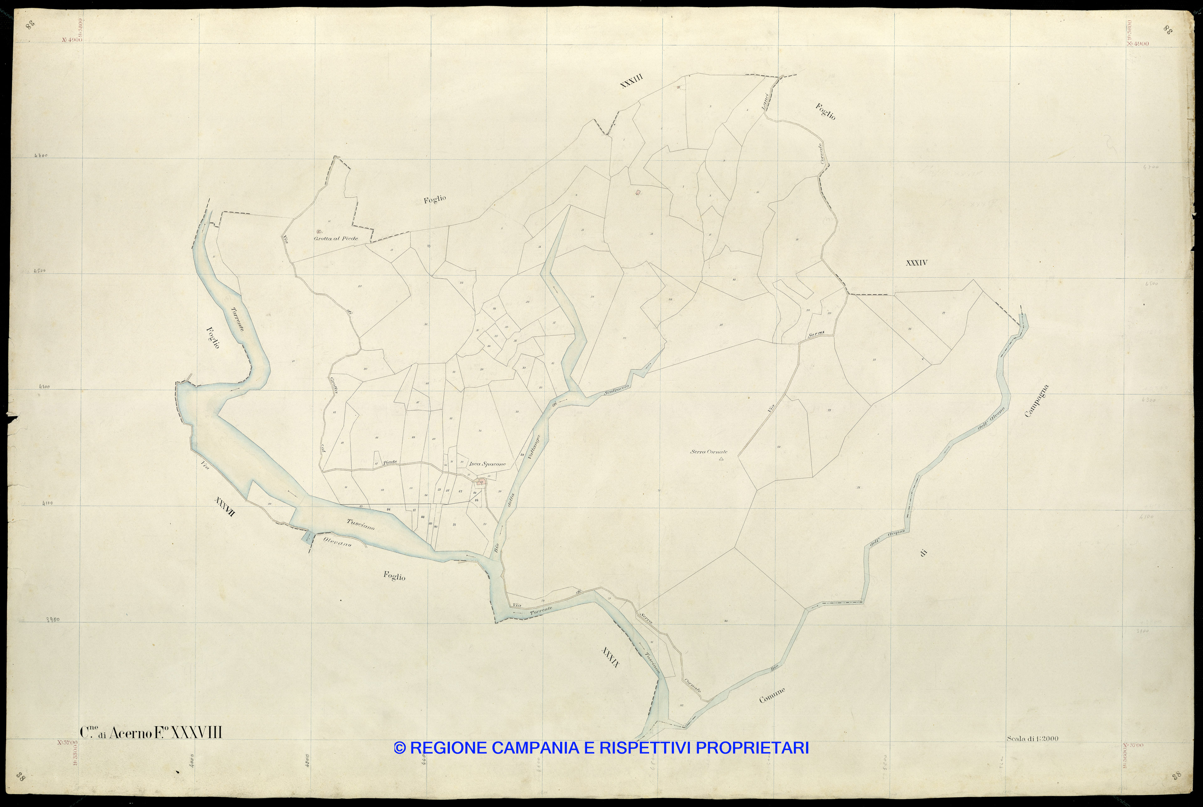 Mappa