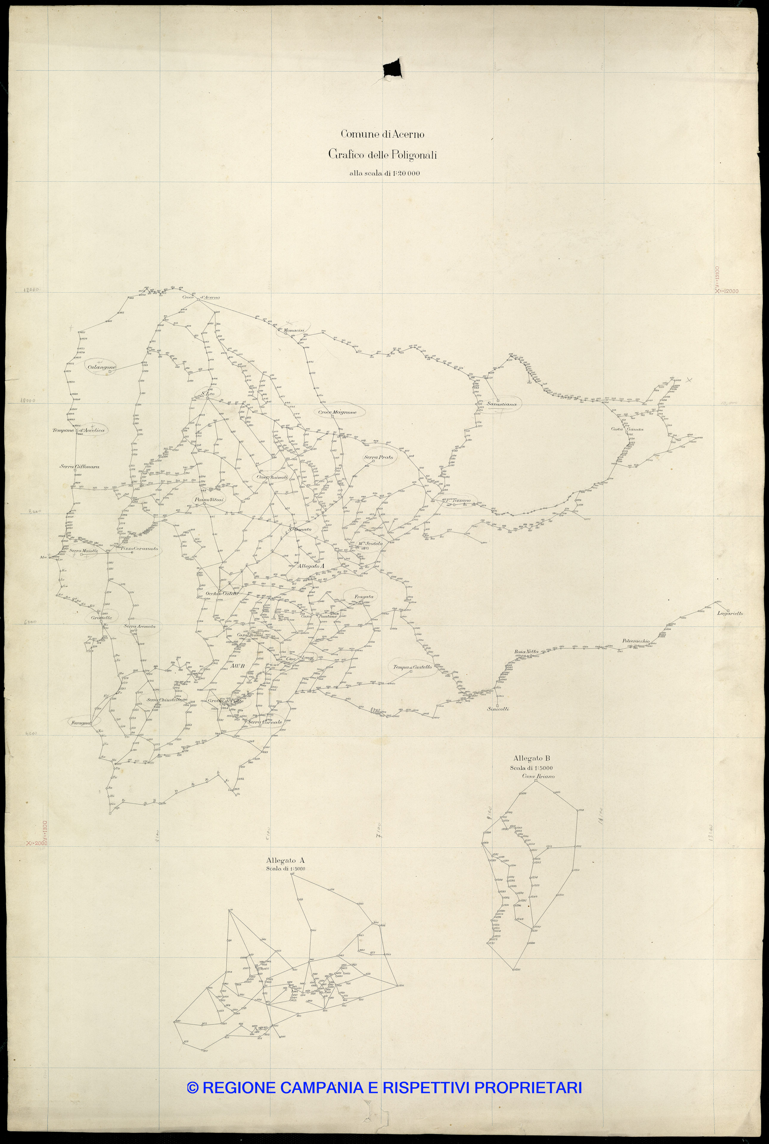 Grafico delle Poligonali