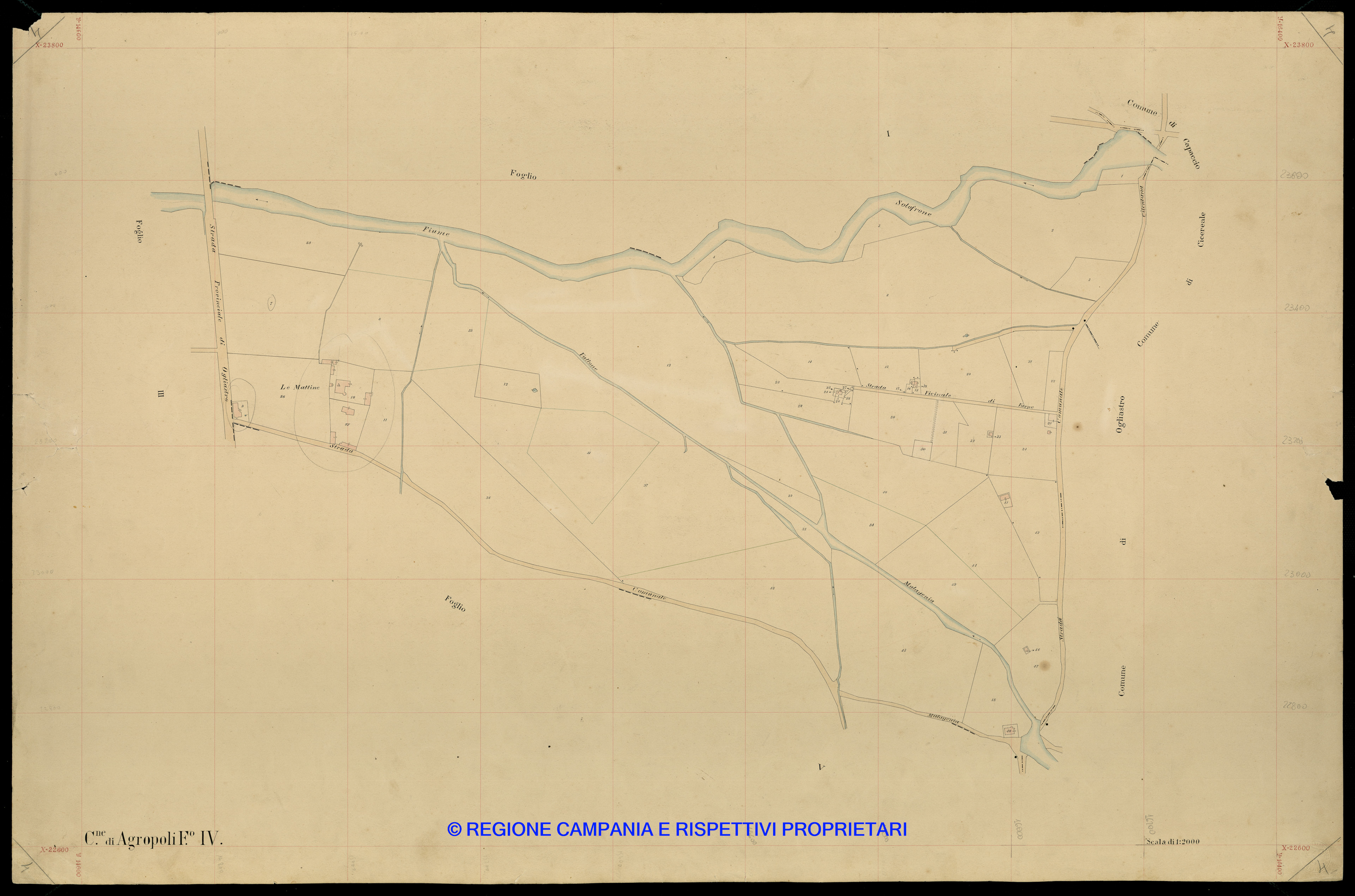 Mappa