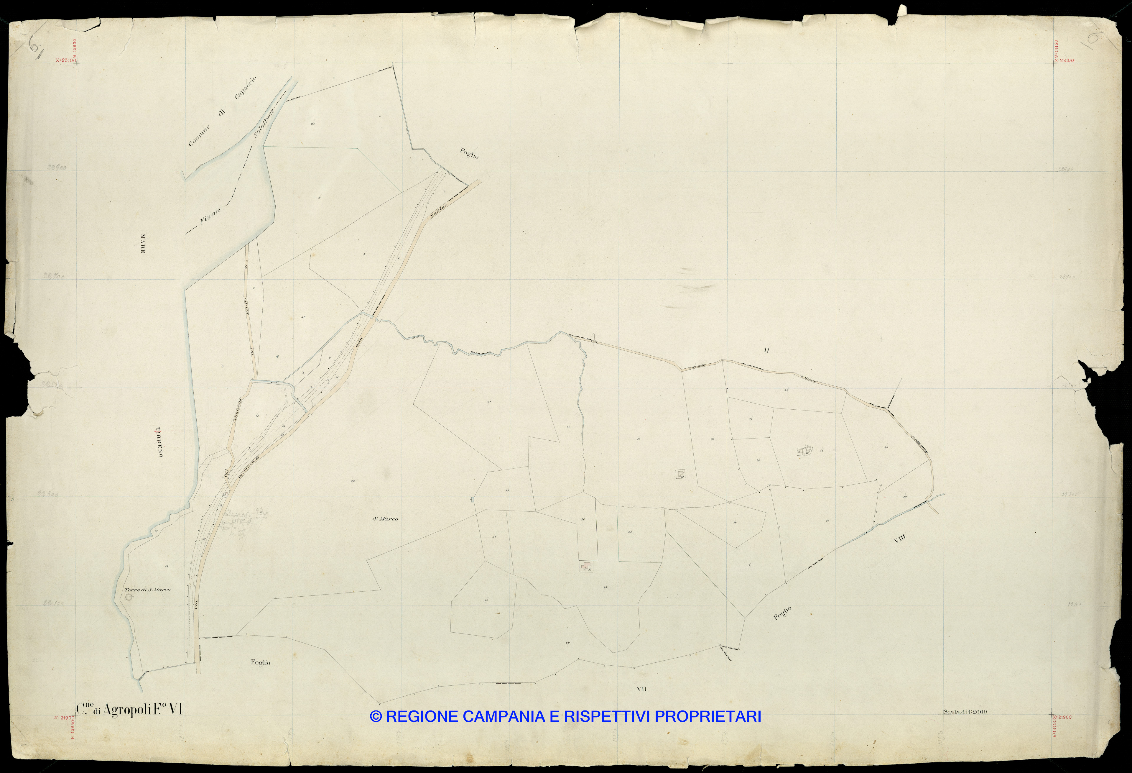 Mappa