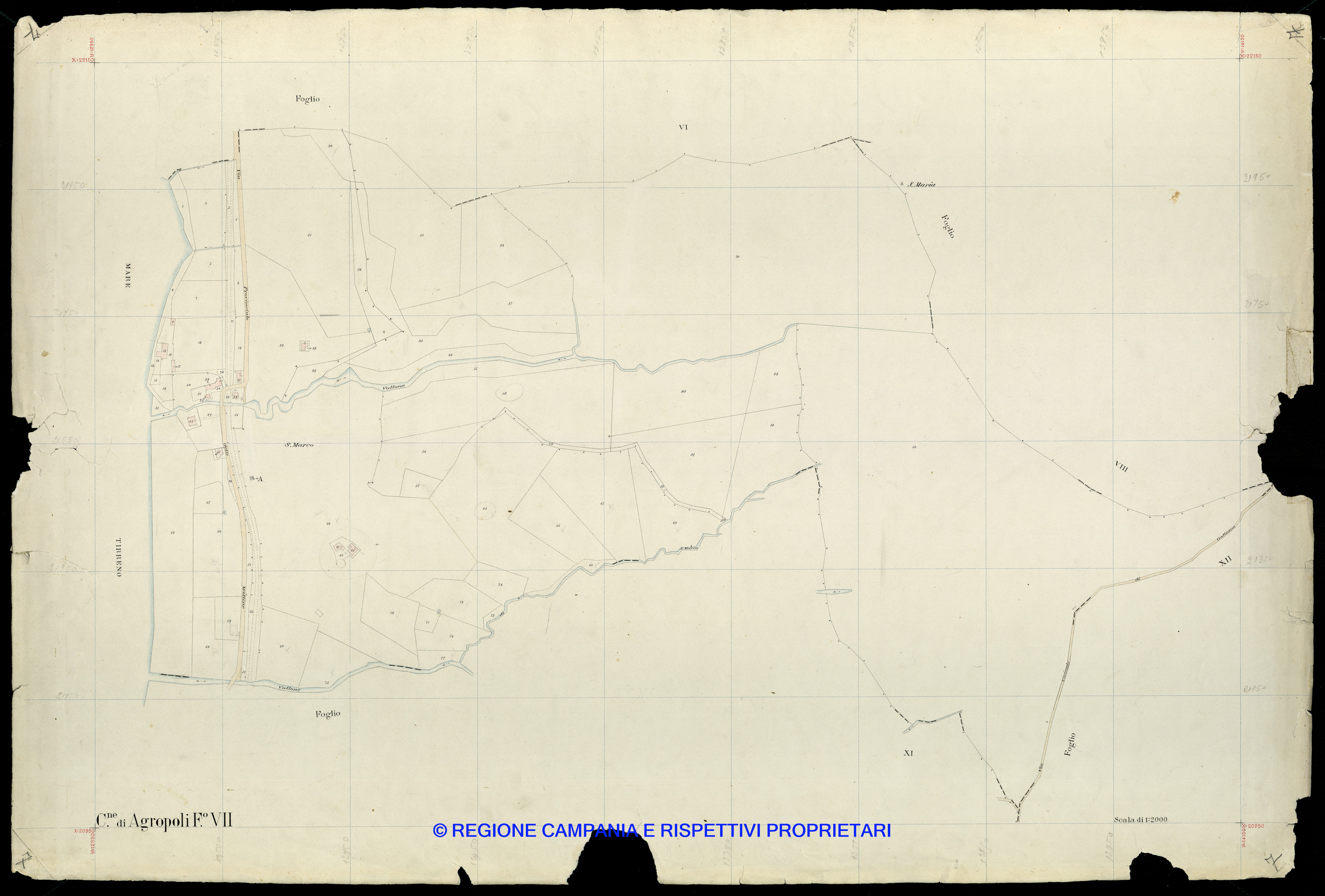 Mappa