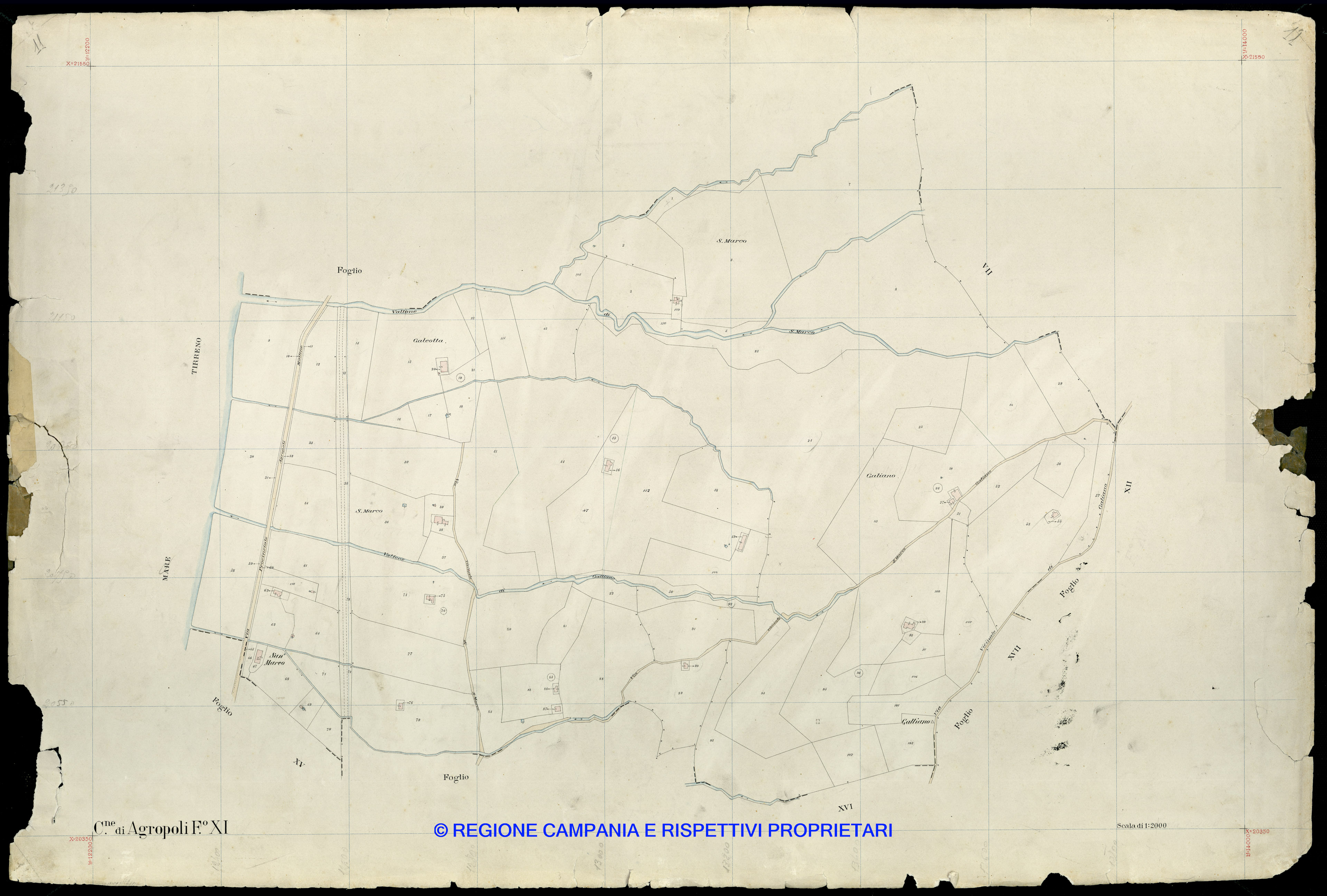 Mappa