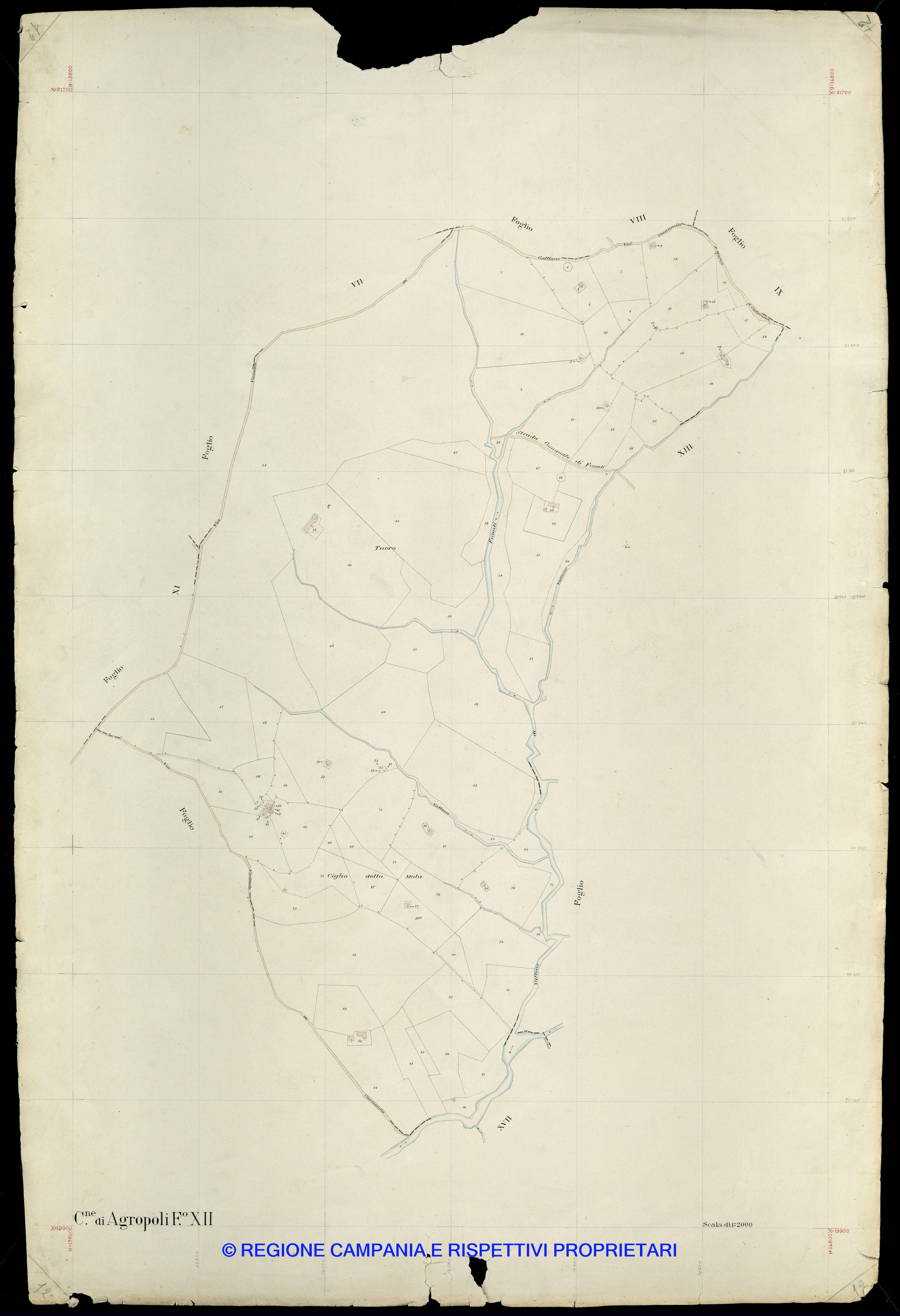 Mappa