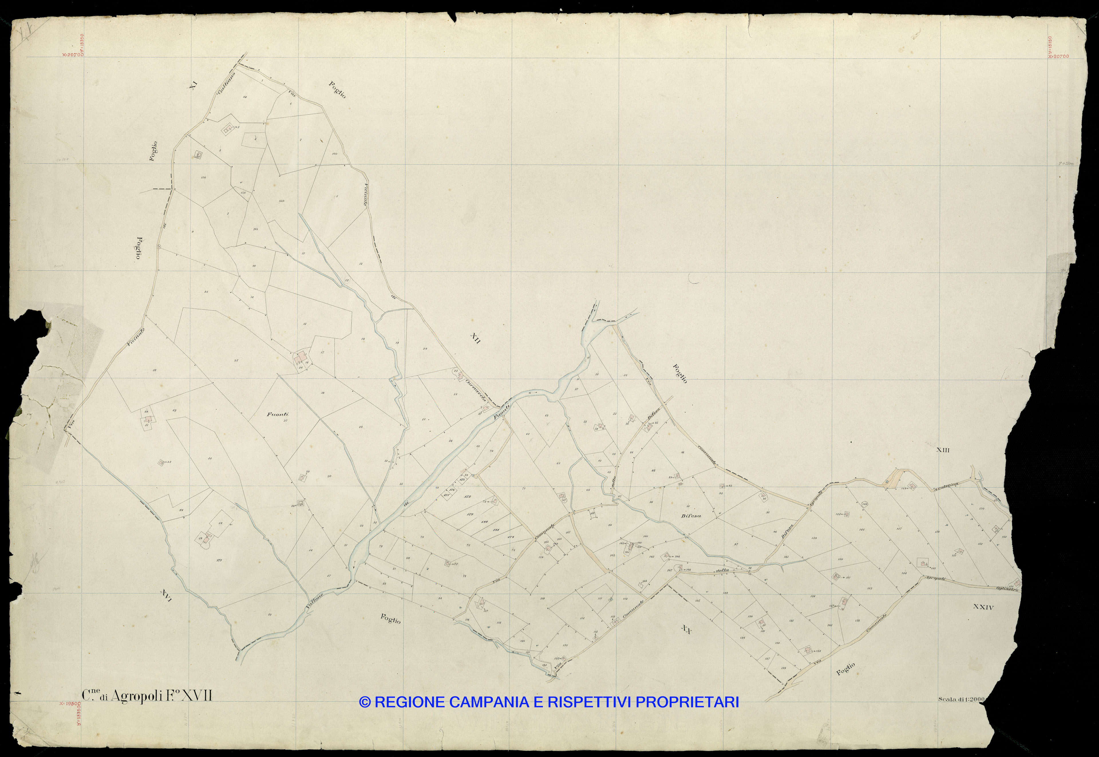 Mappa