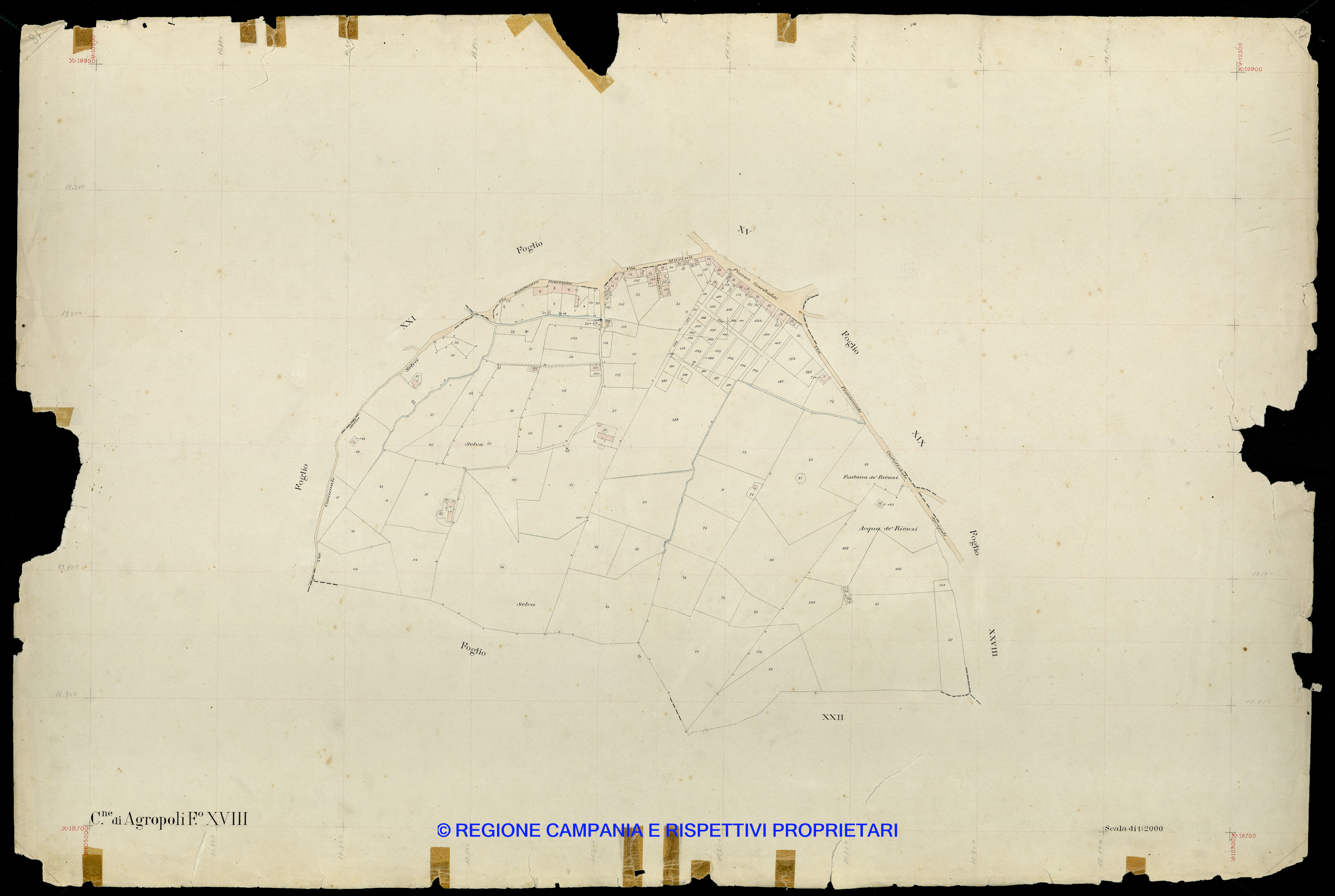Mappa