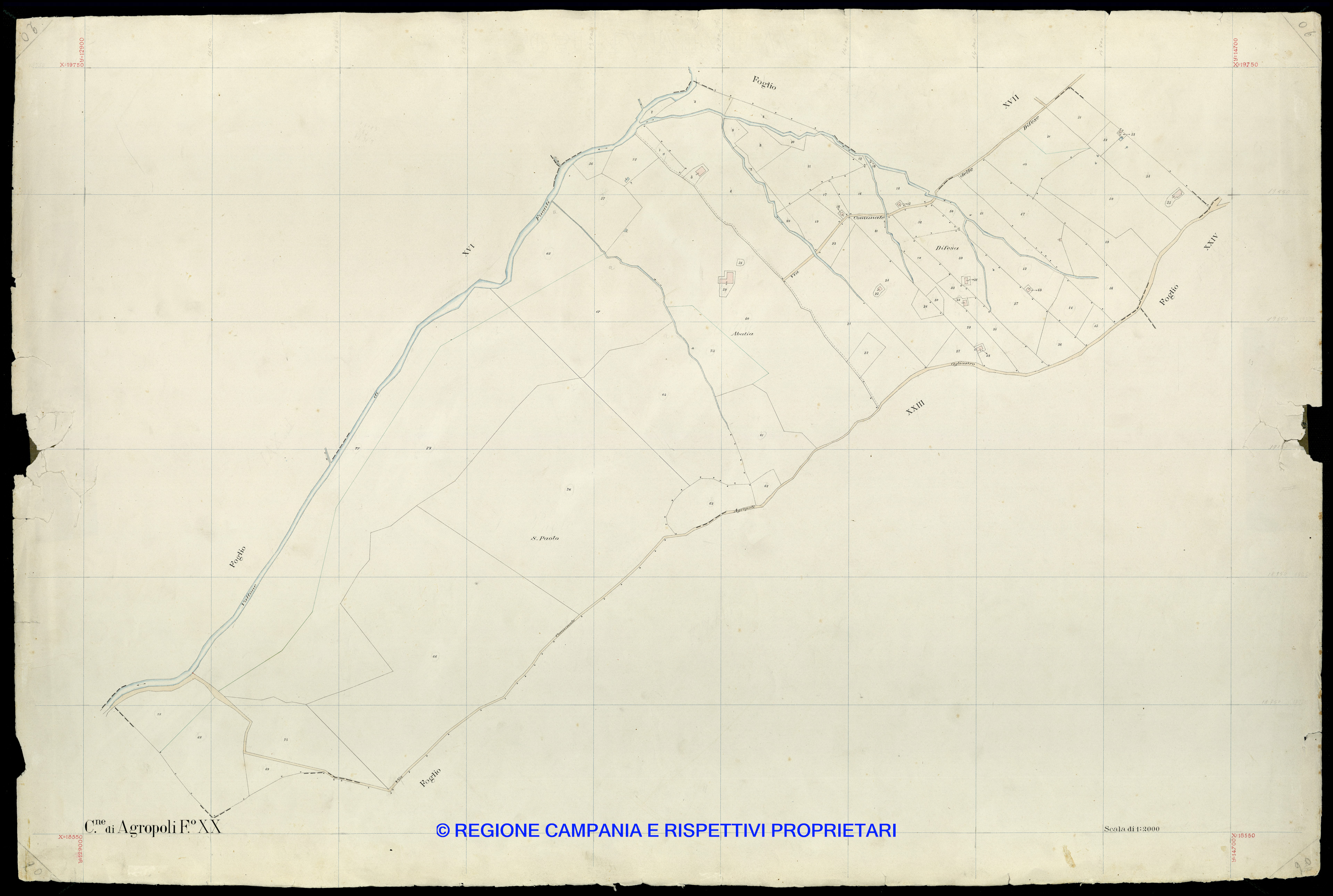 Mappa