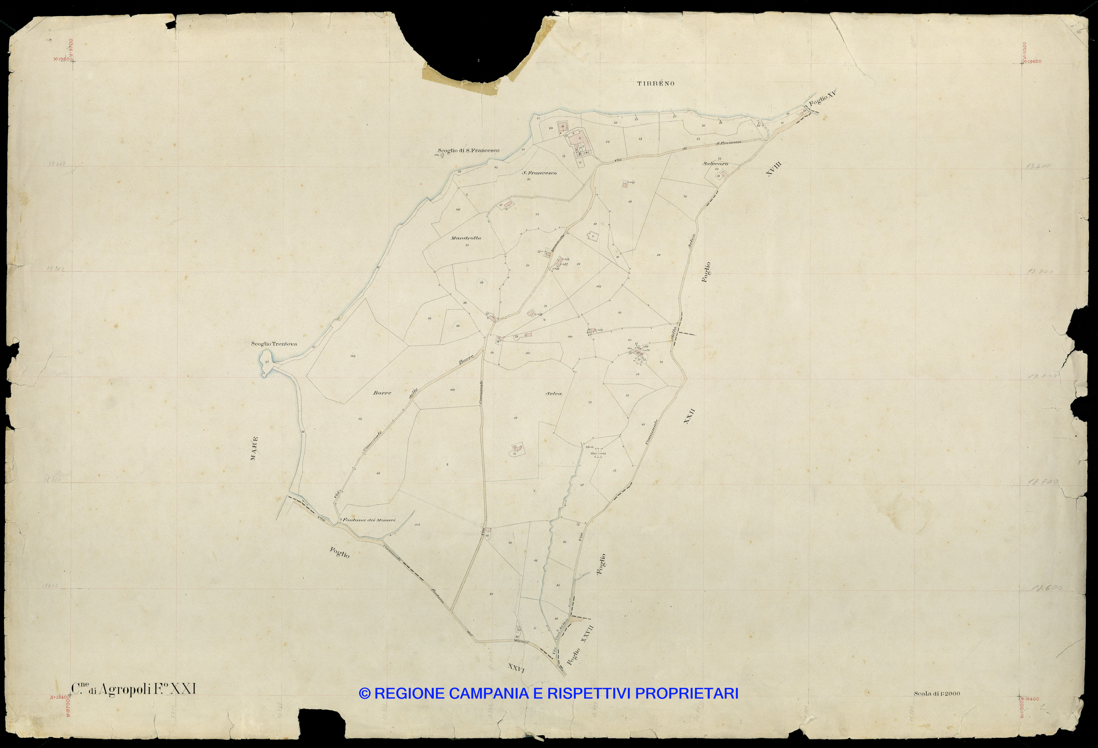 Mappa