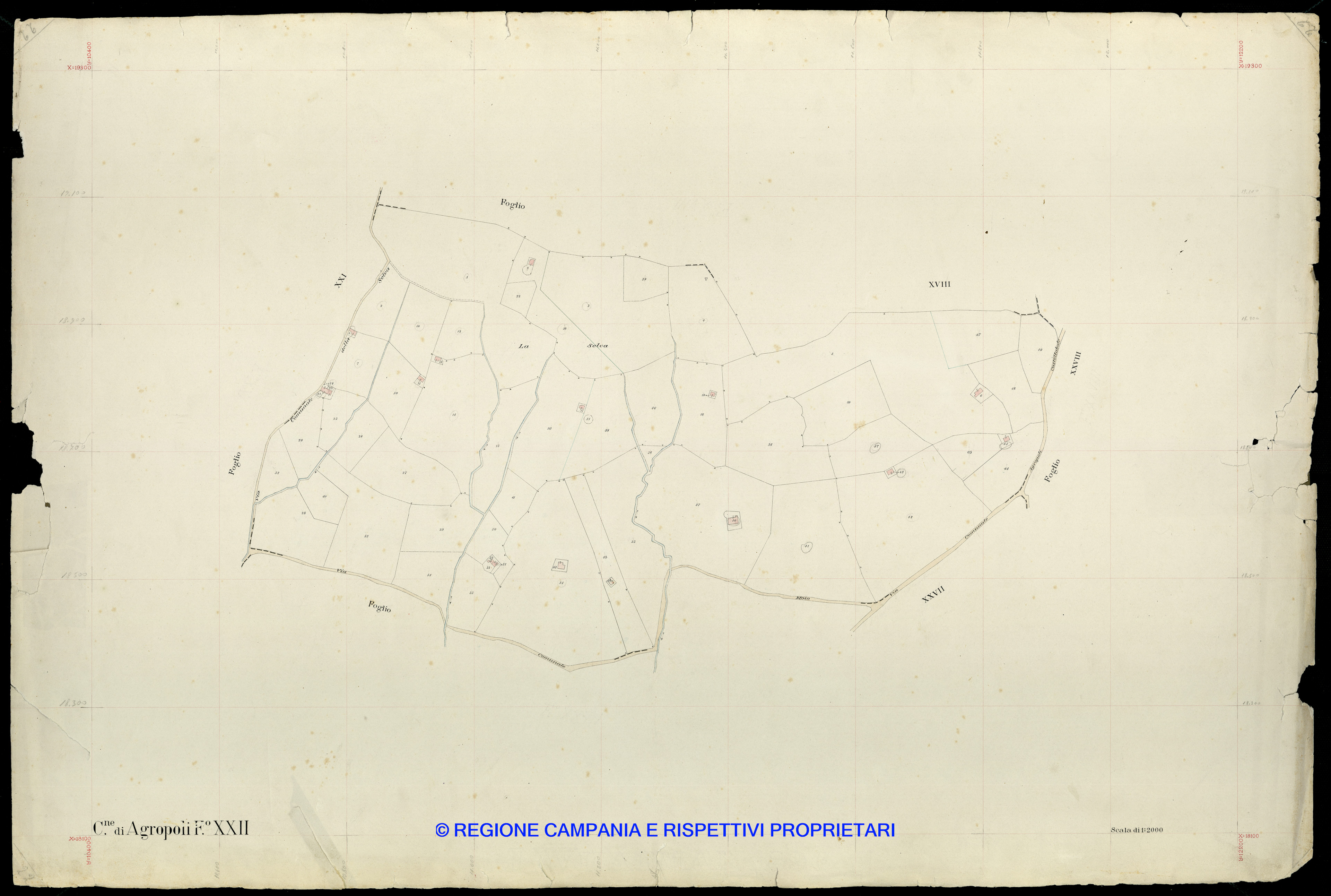 Mappa
