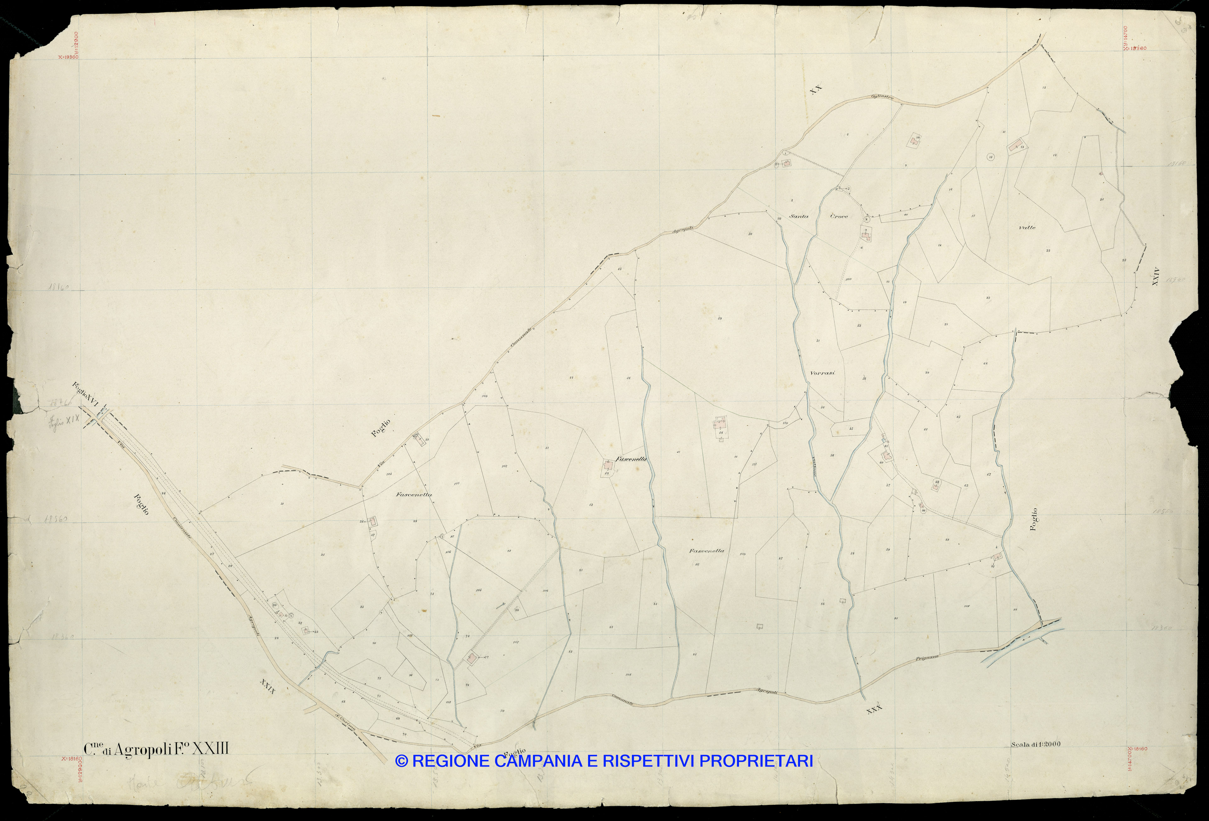 Mappa