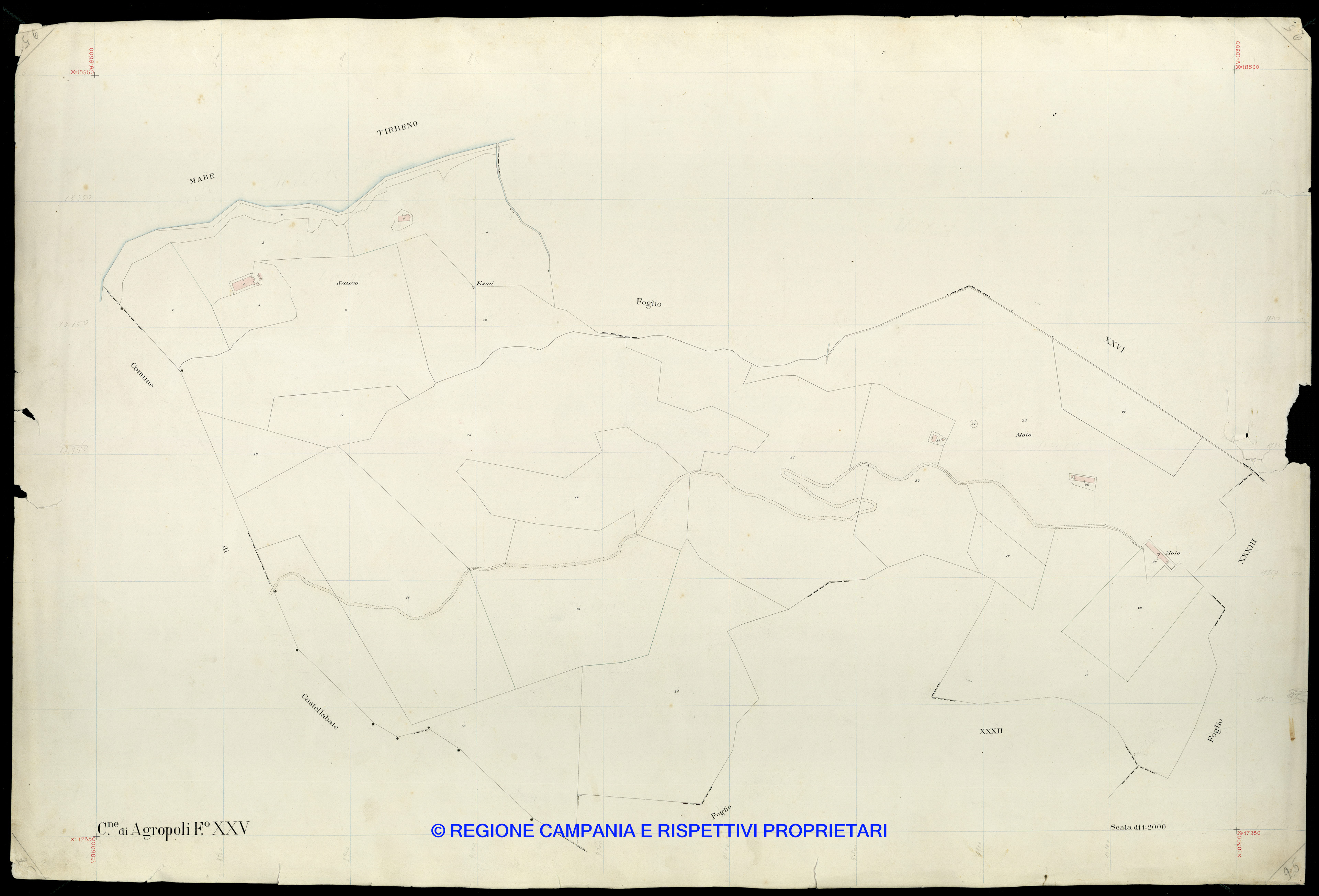 Mappa