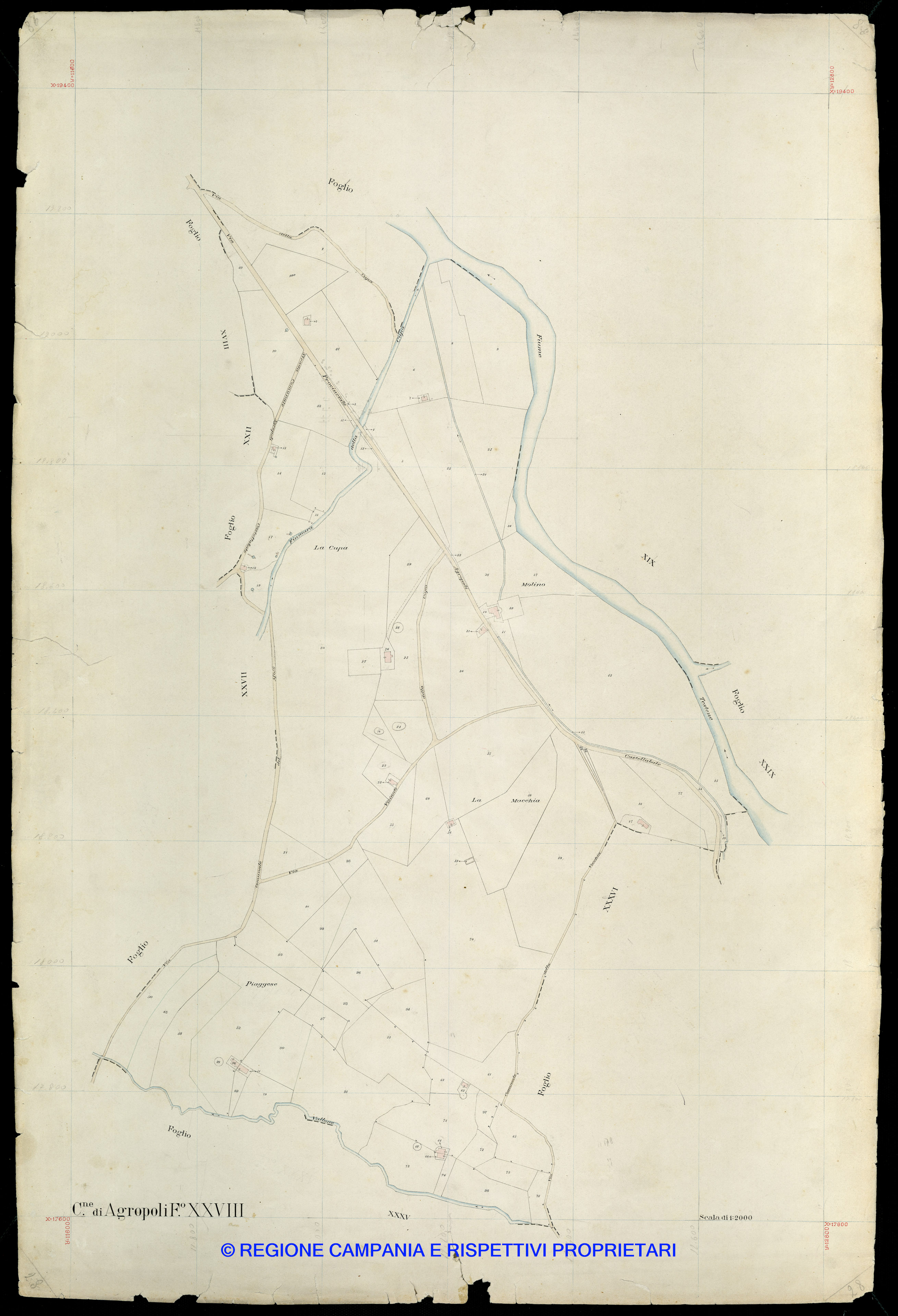 Mappa