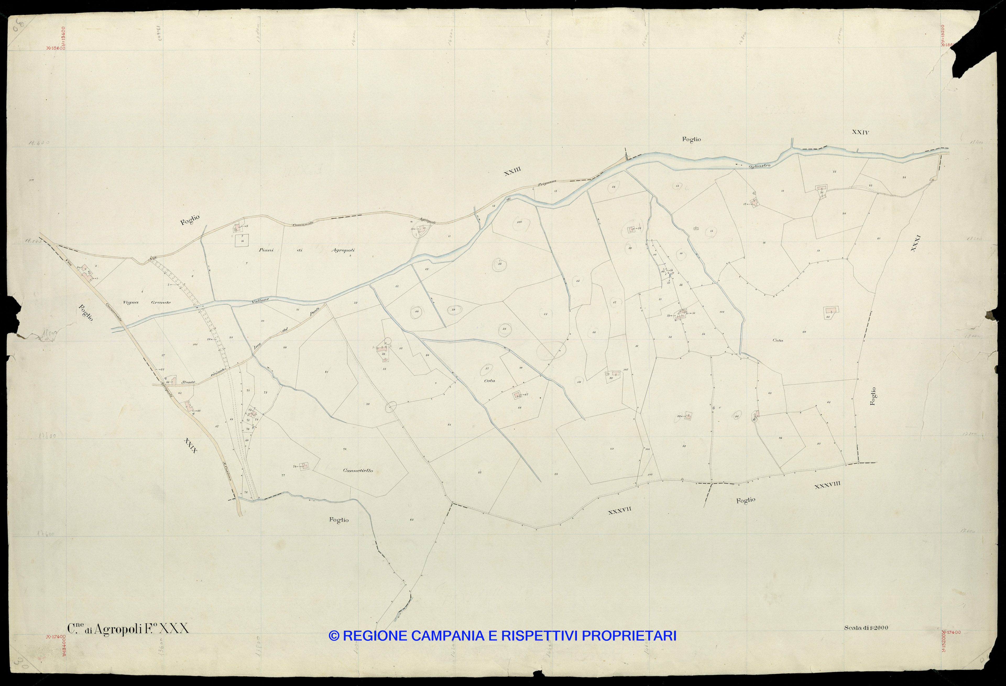 Mappa