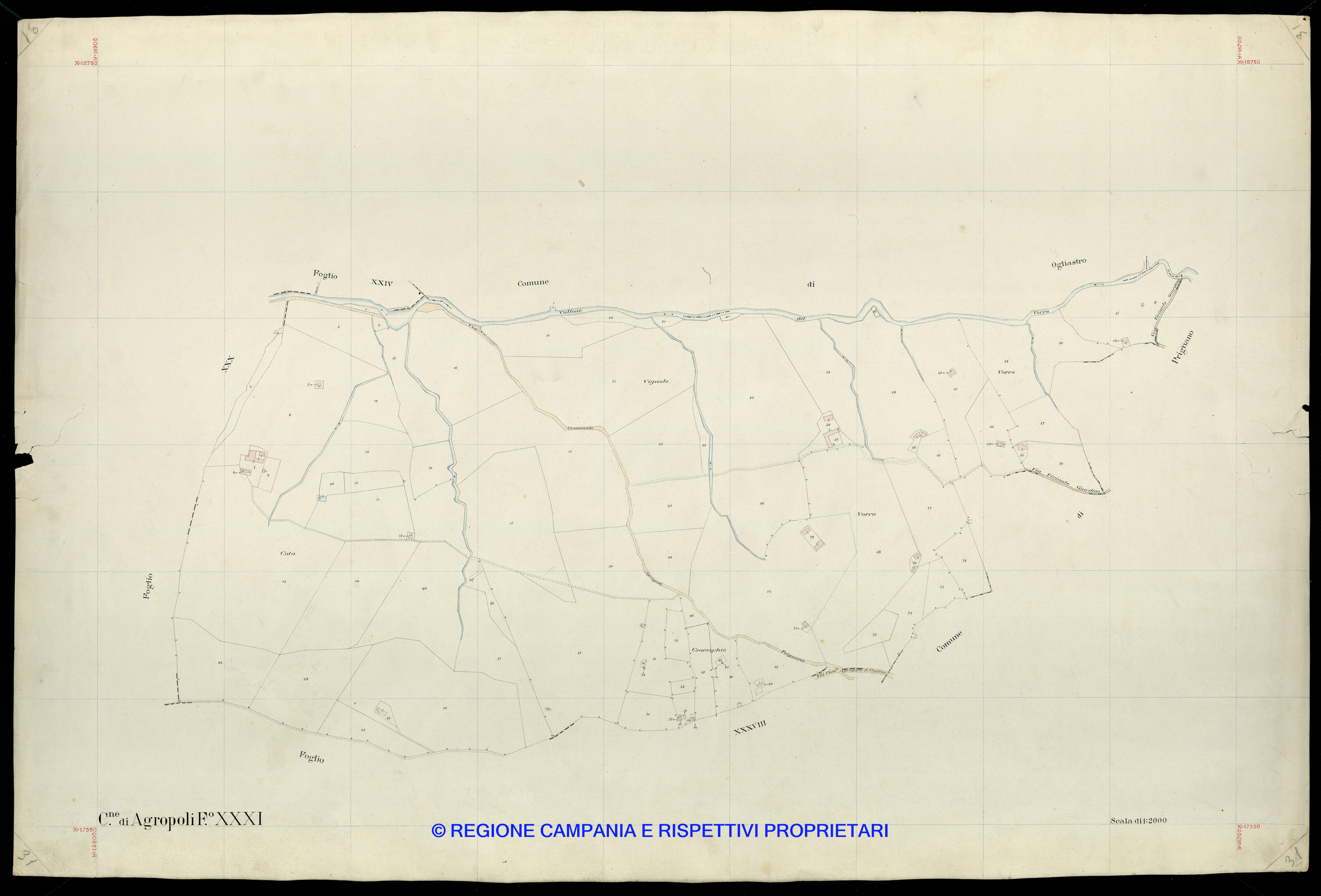 Mappa