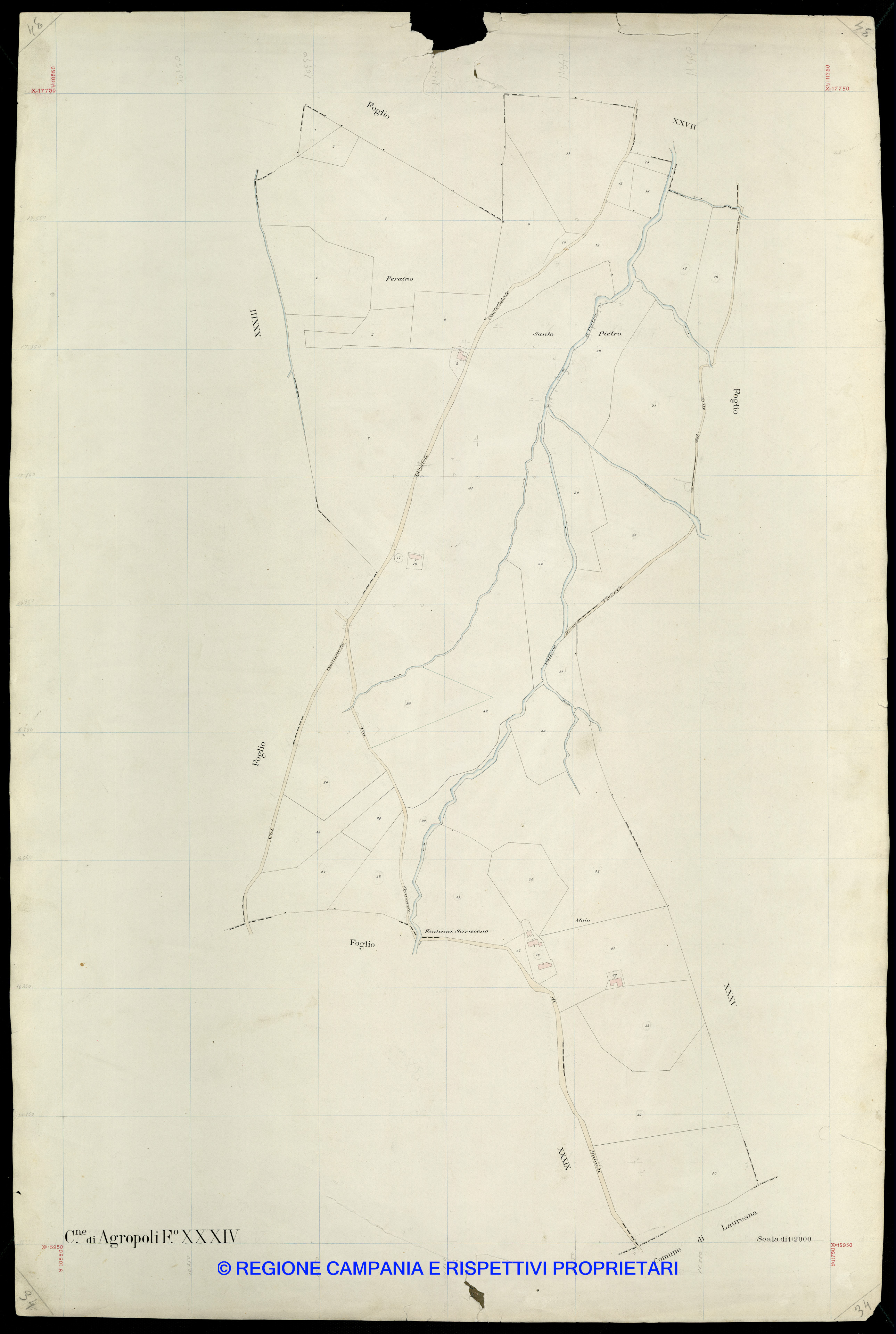 Mappa
