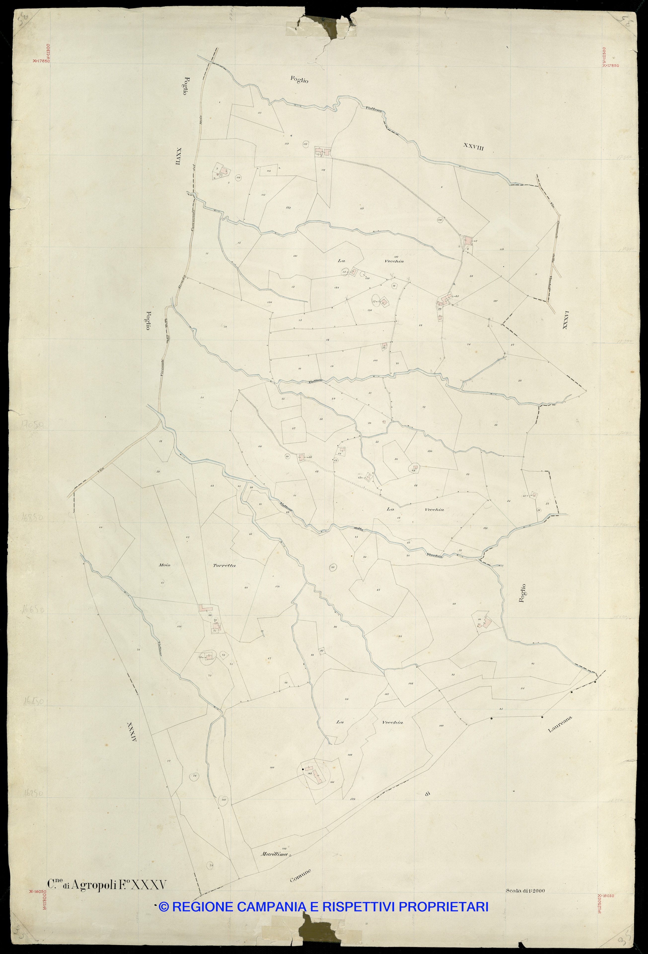 Mappa