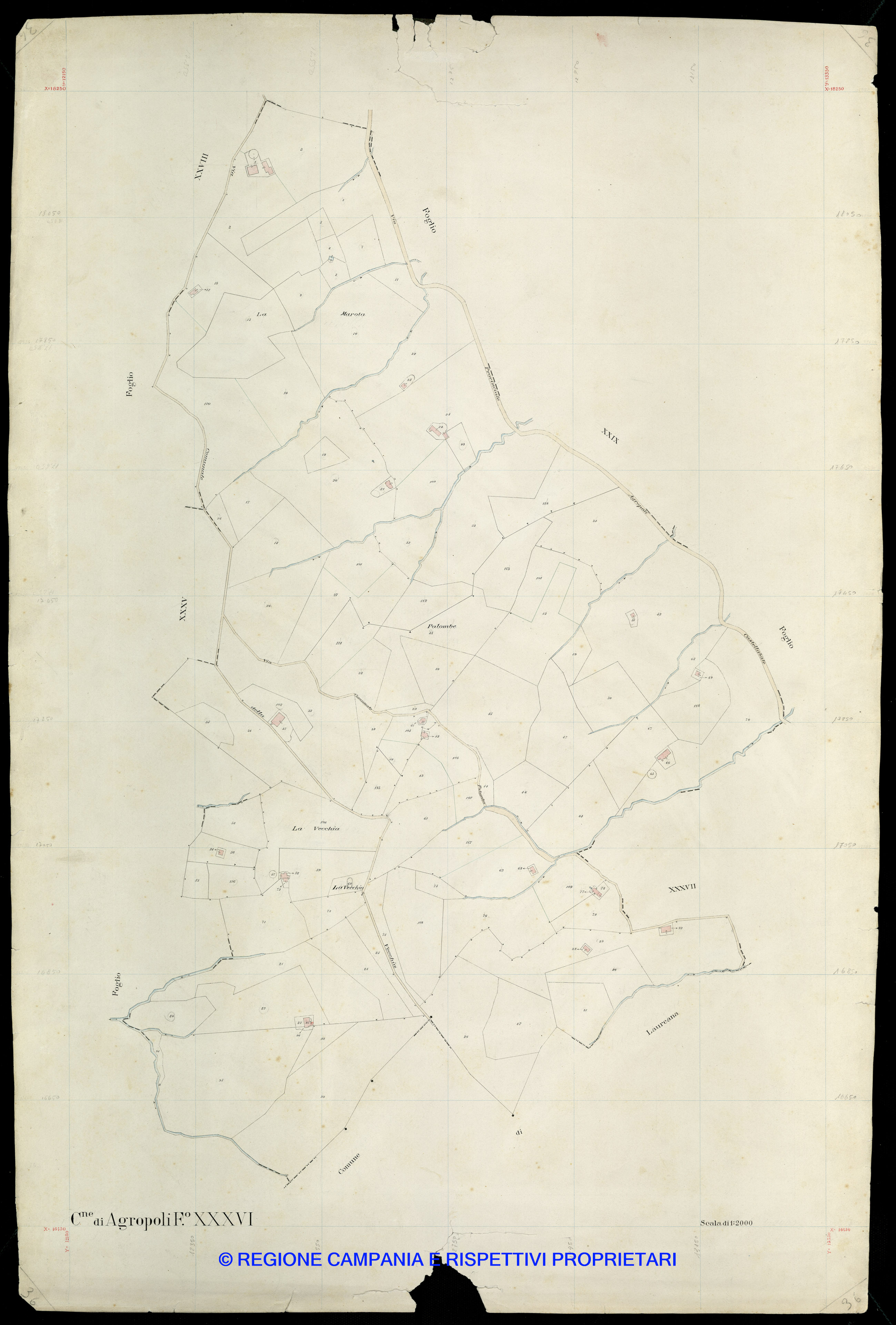 Mappa