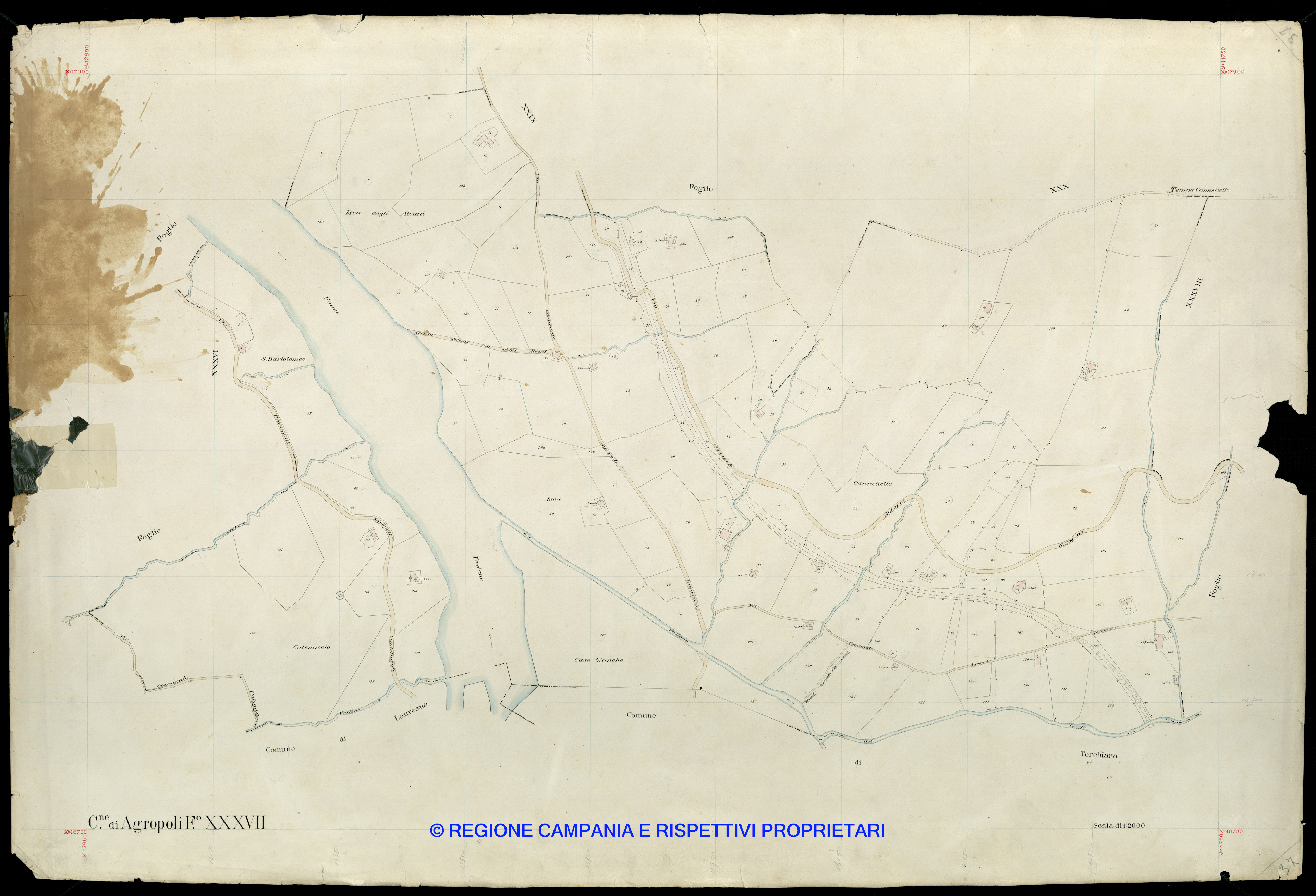Mappa