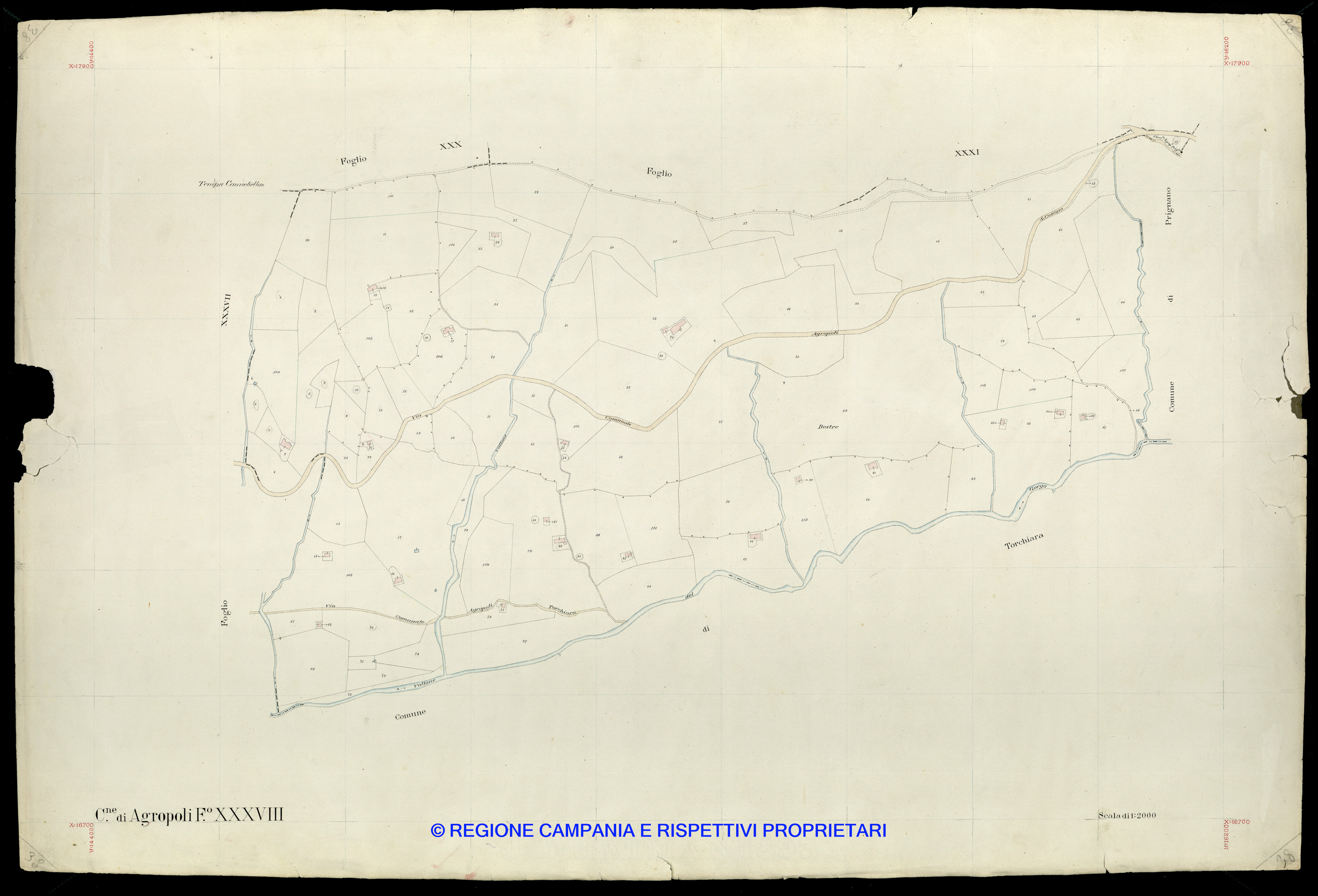 Mappa