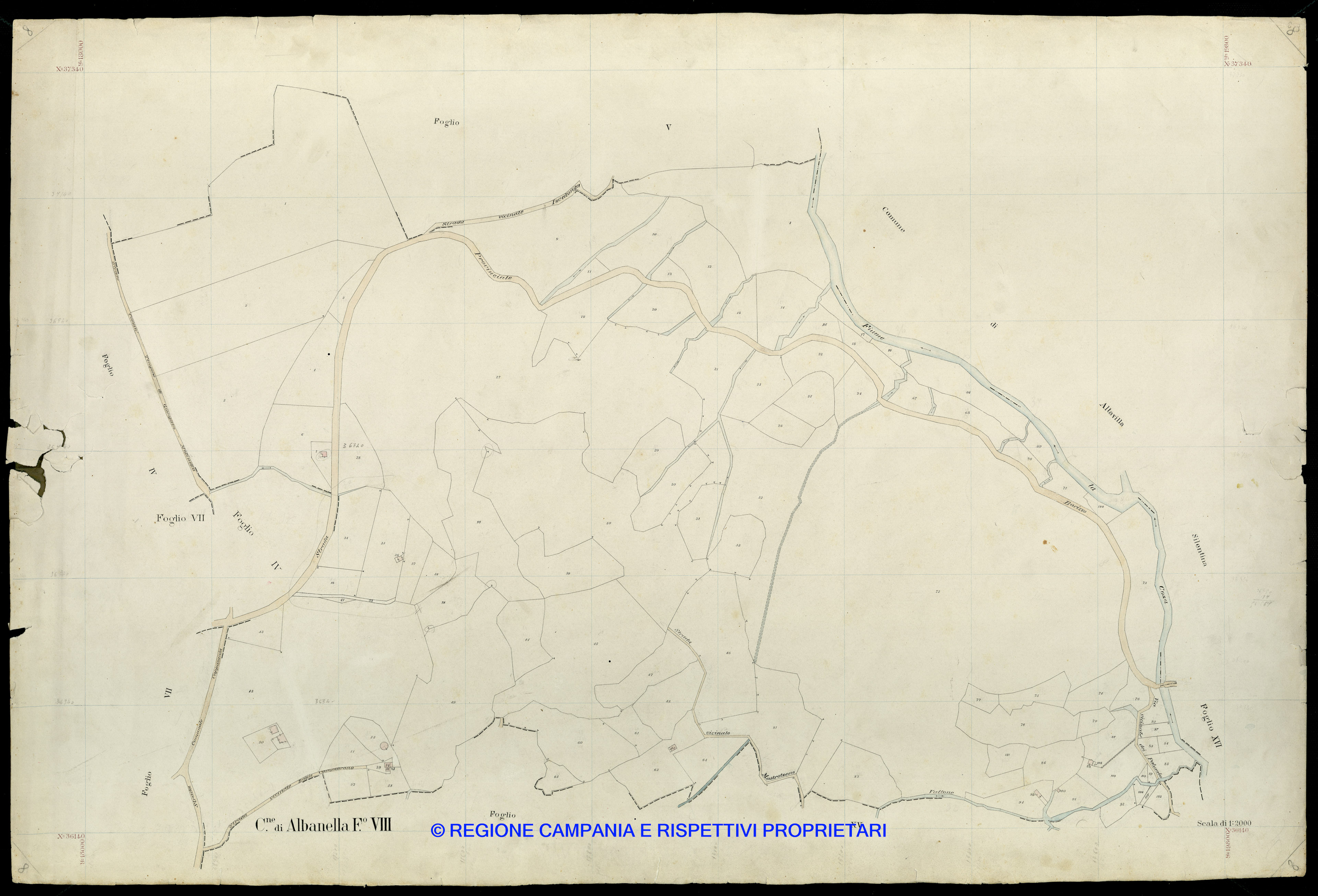 Mappa