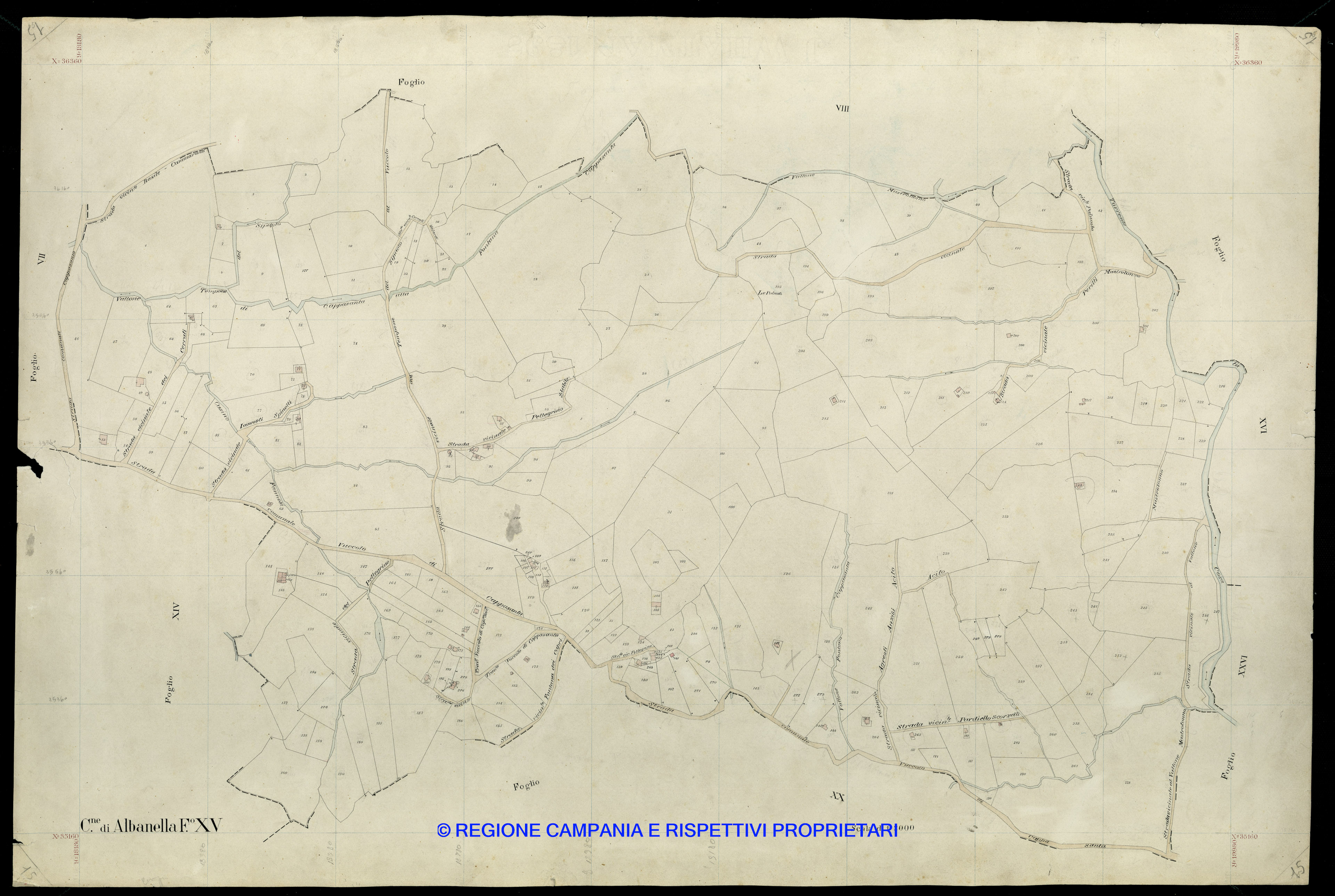 Mappa