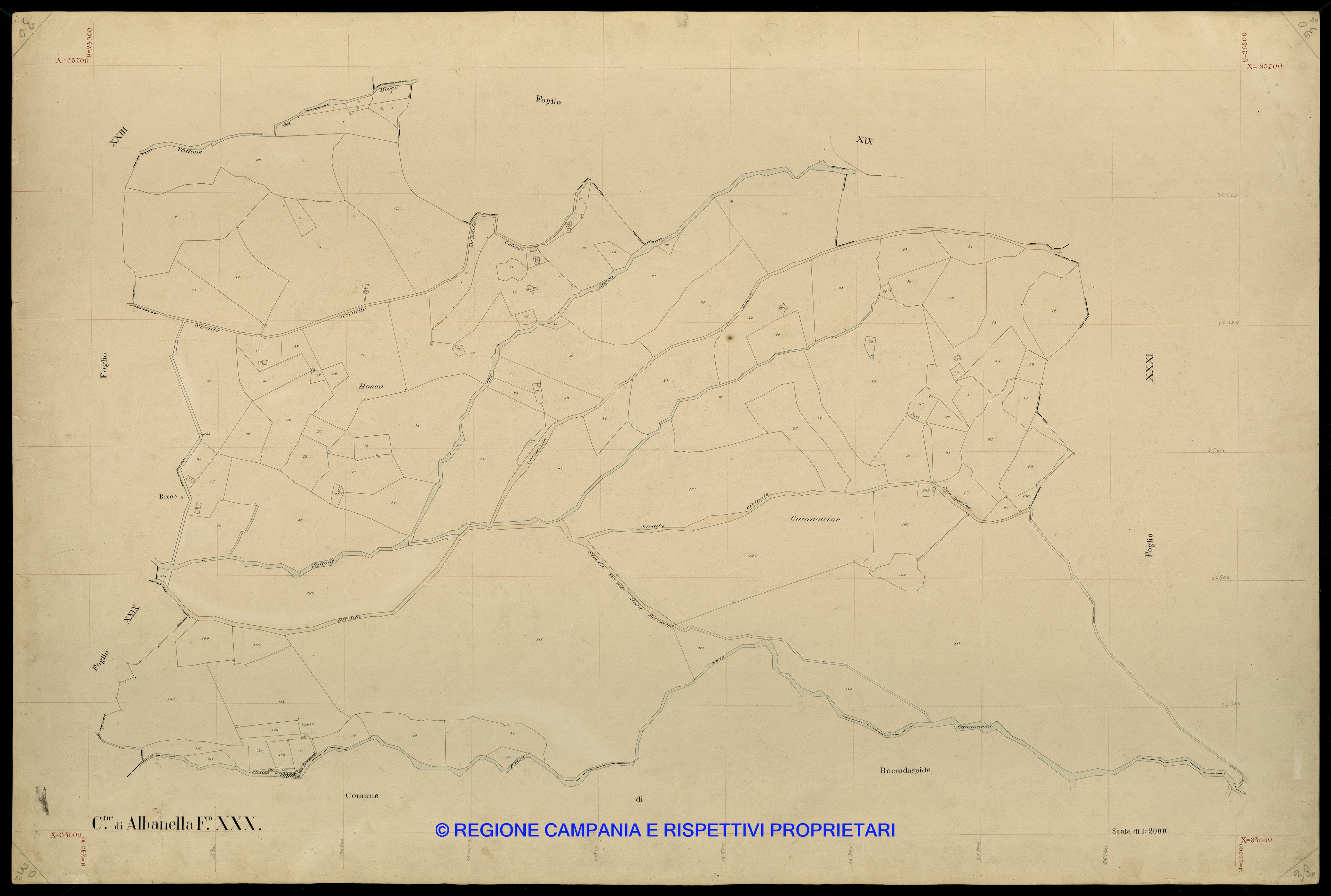 Mappa