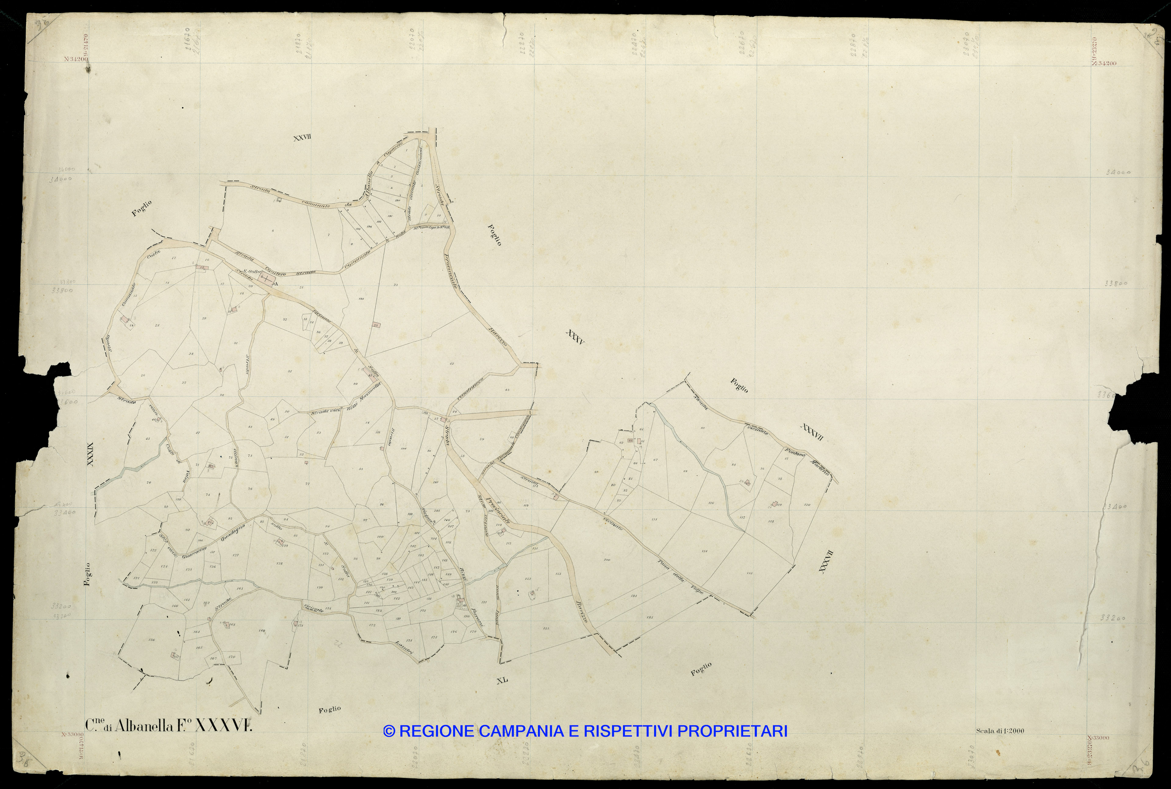 Mappa