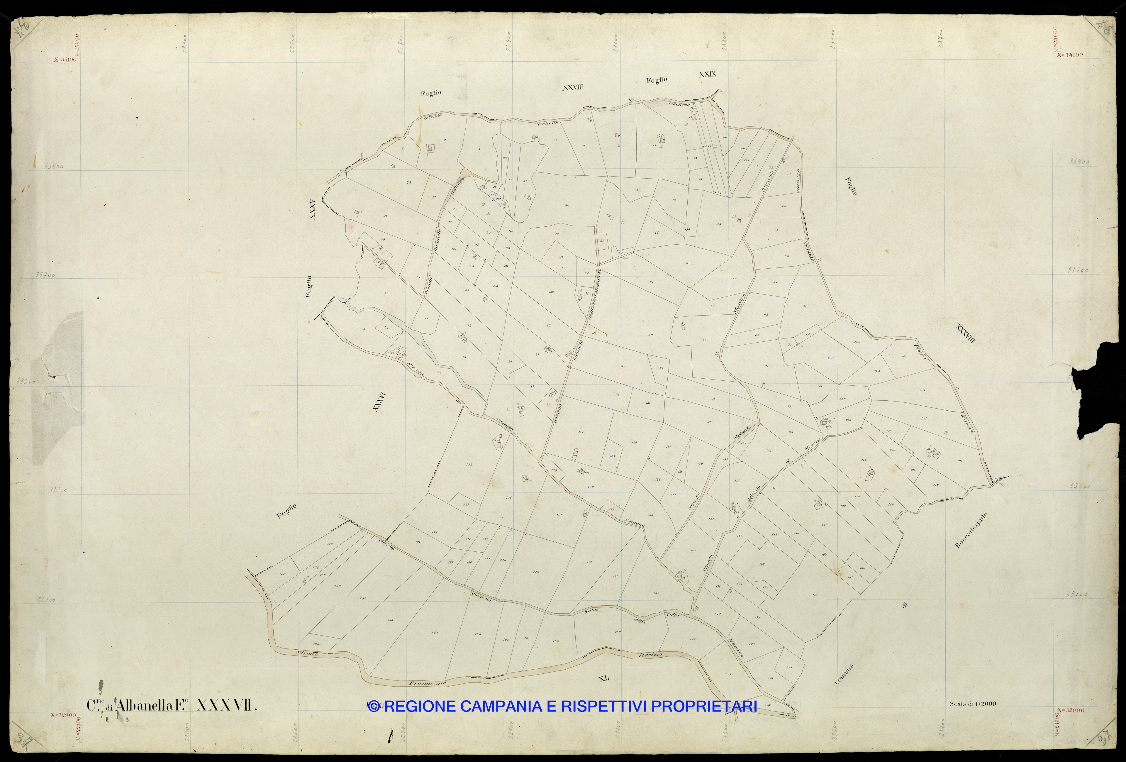 Mappa