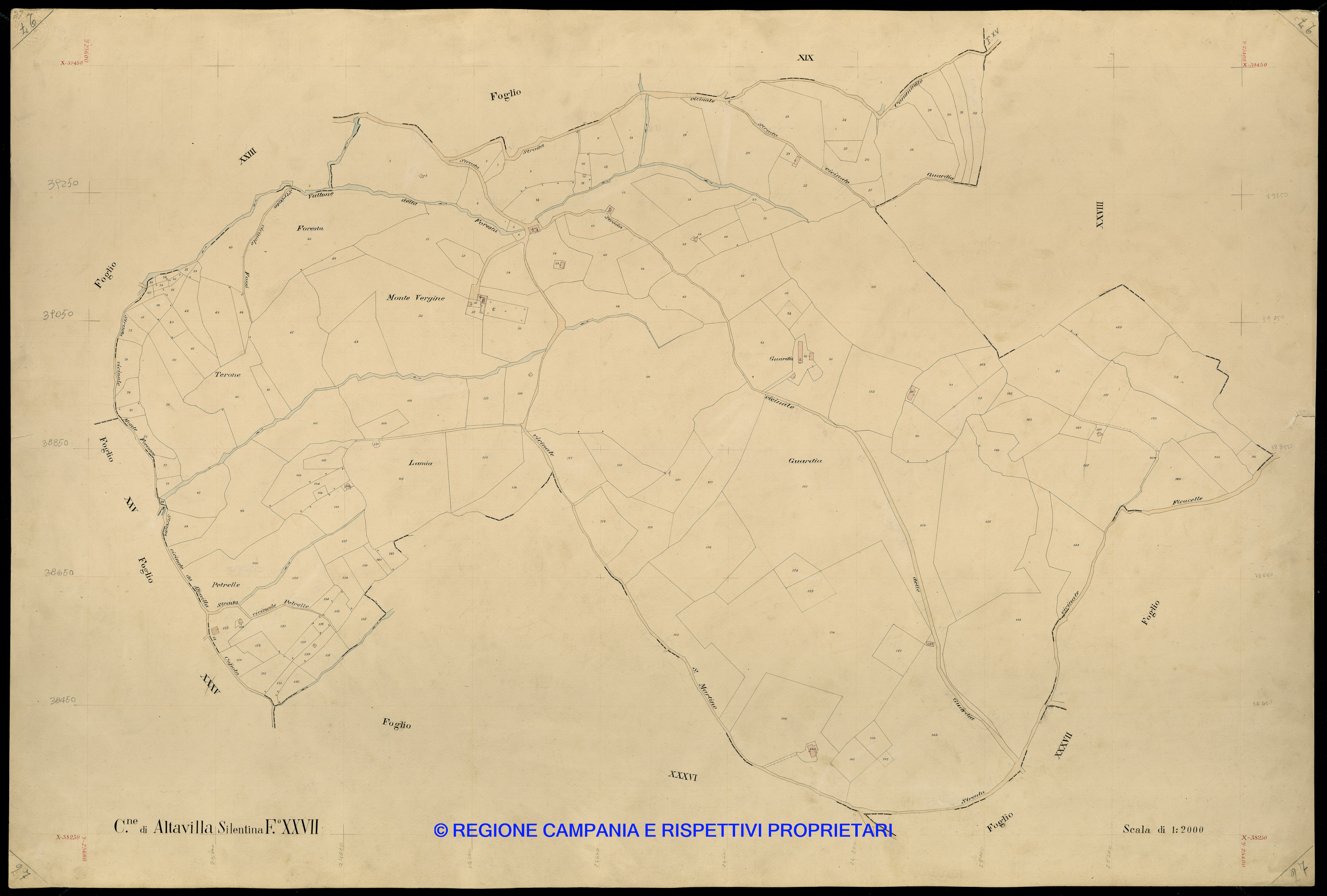 Mappa