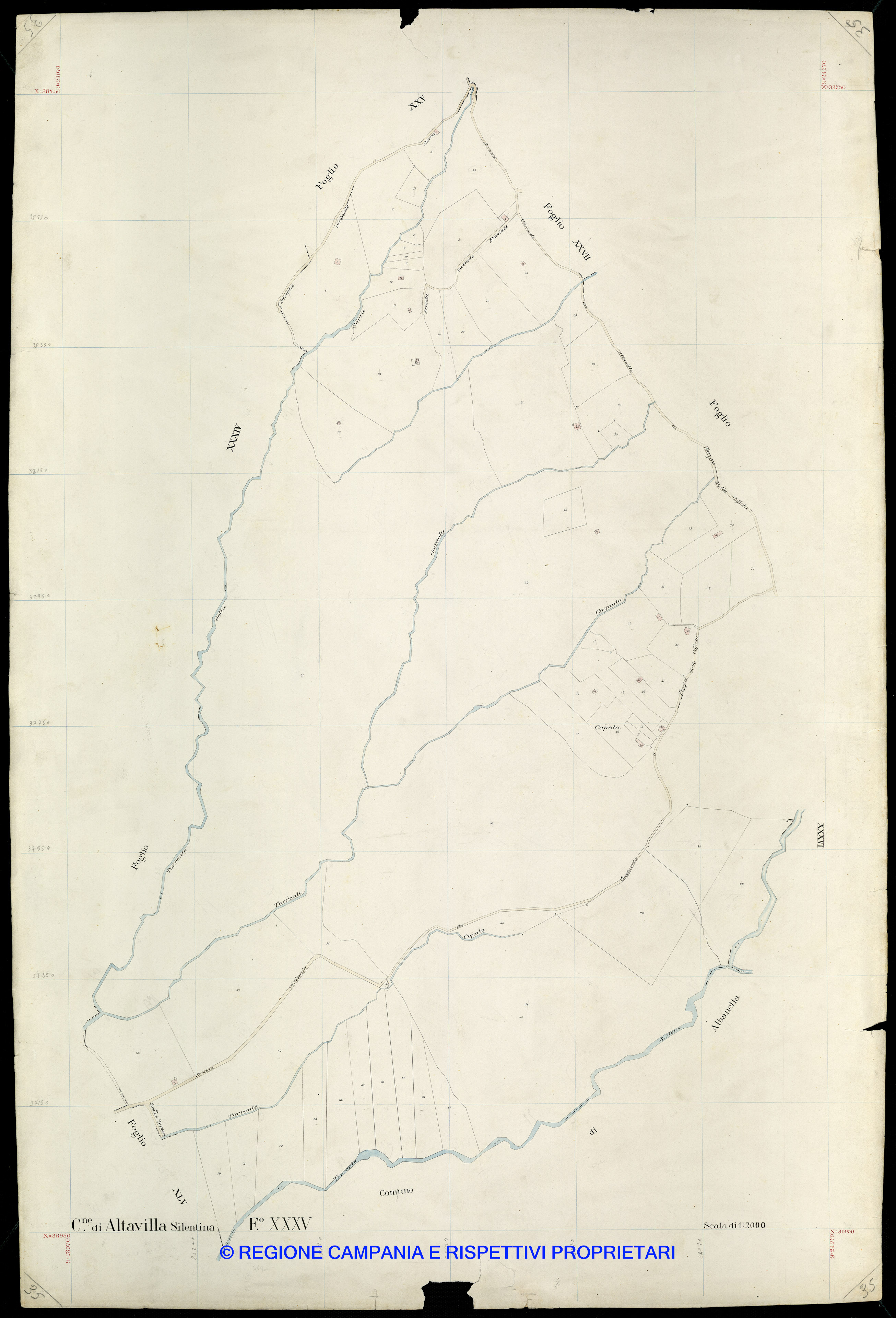Mappa