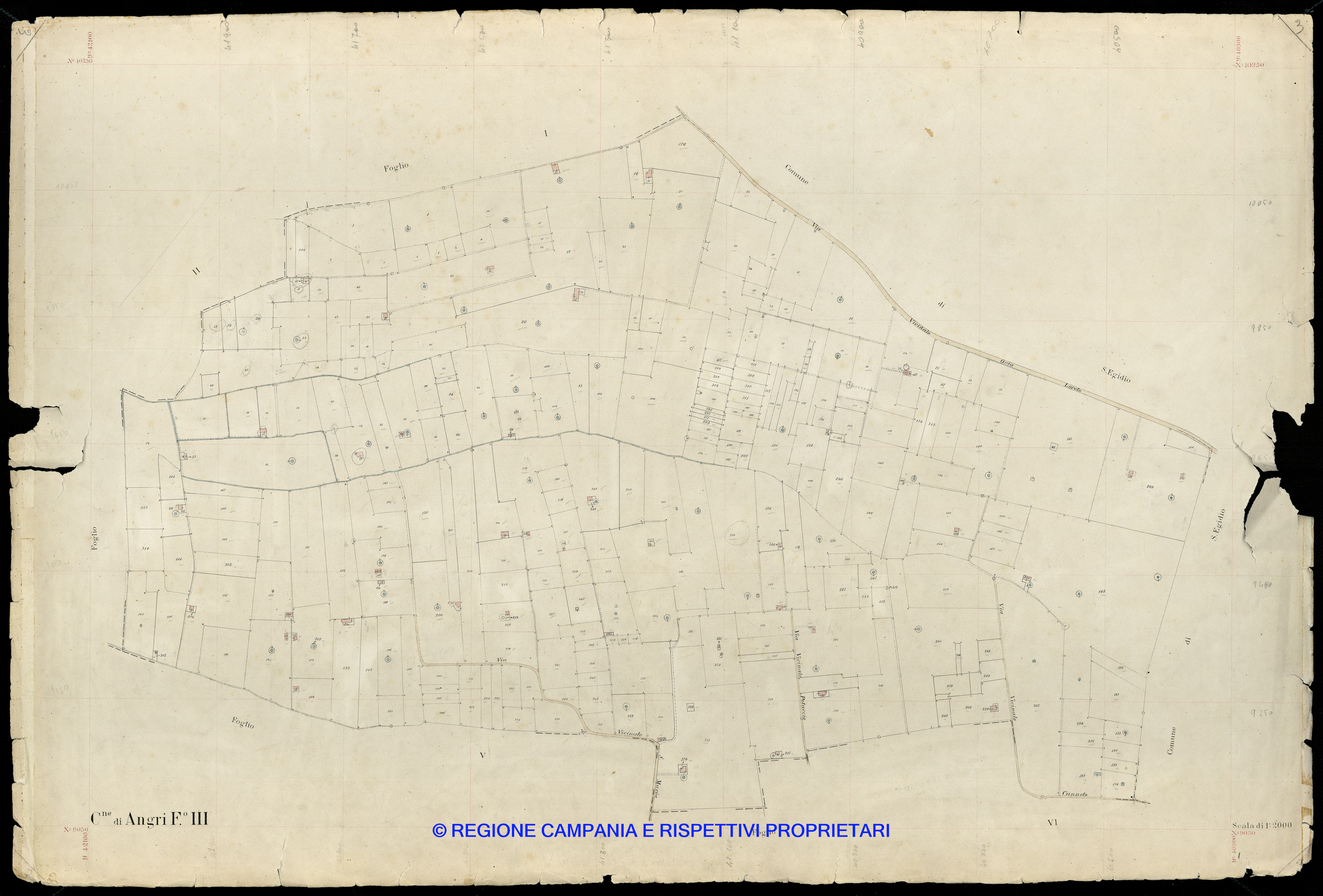 Mappa