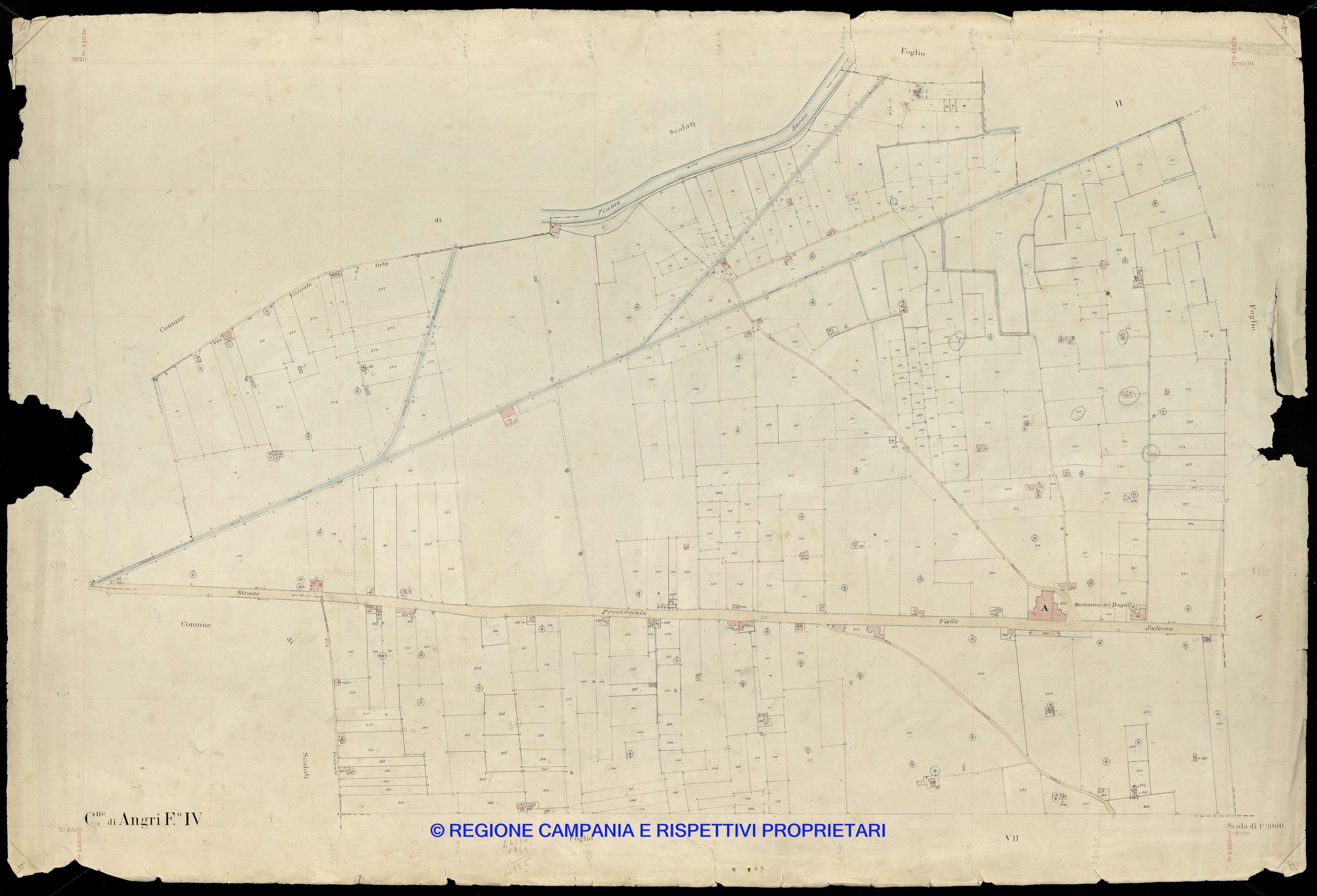 Mappa