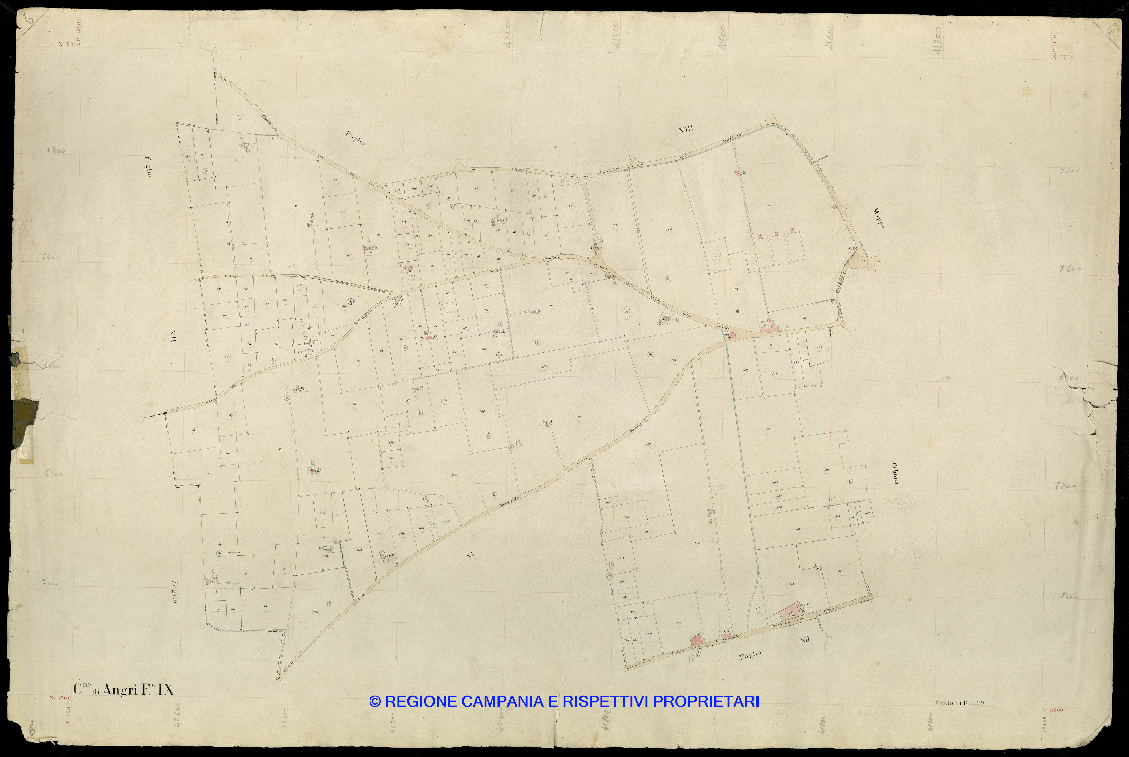 Mappa