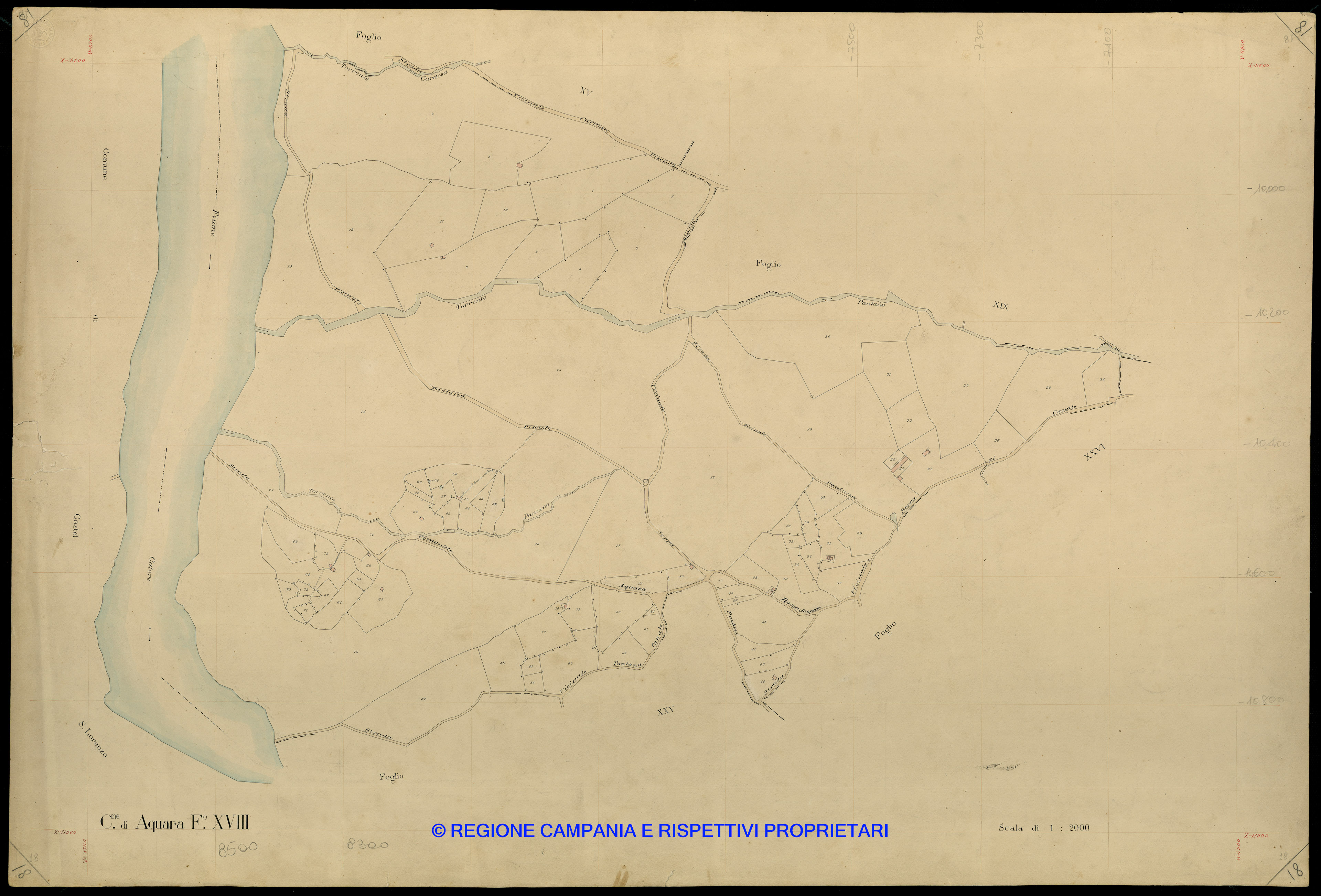 Mappa