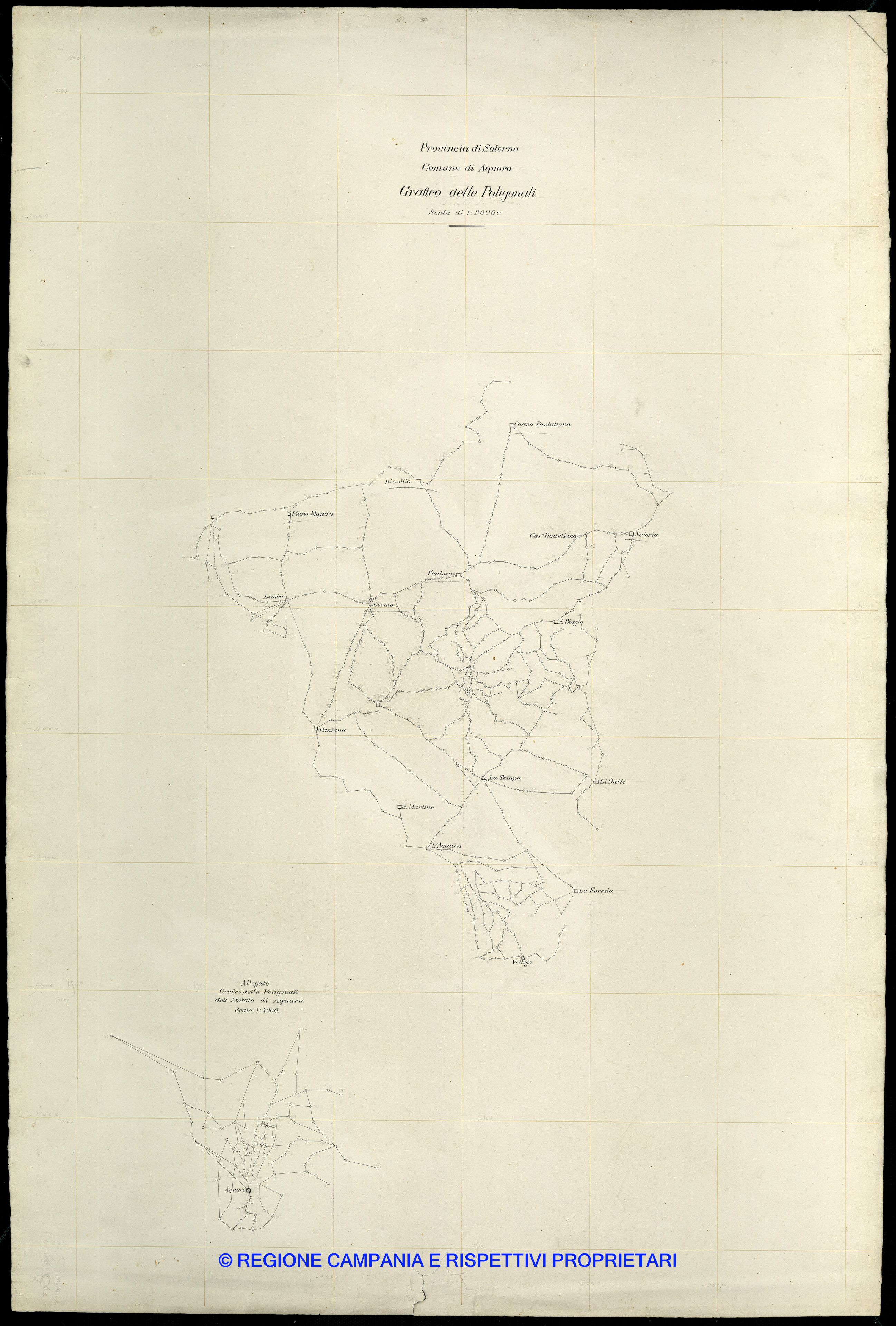 Grafico delle Poligonali