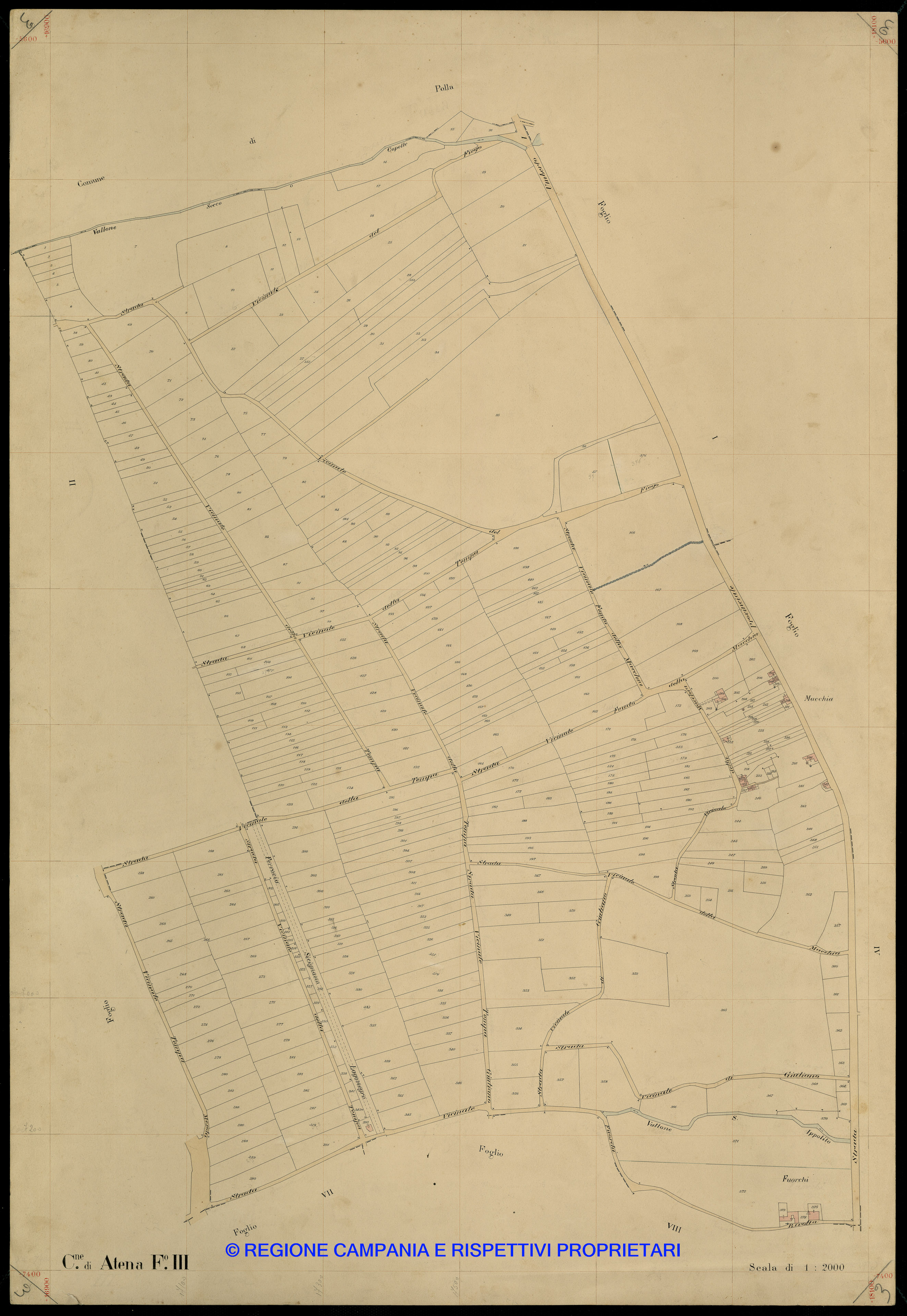 Mappa