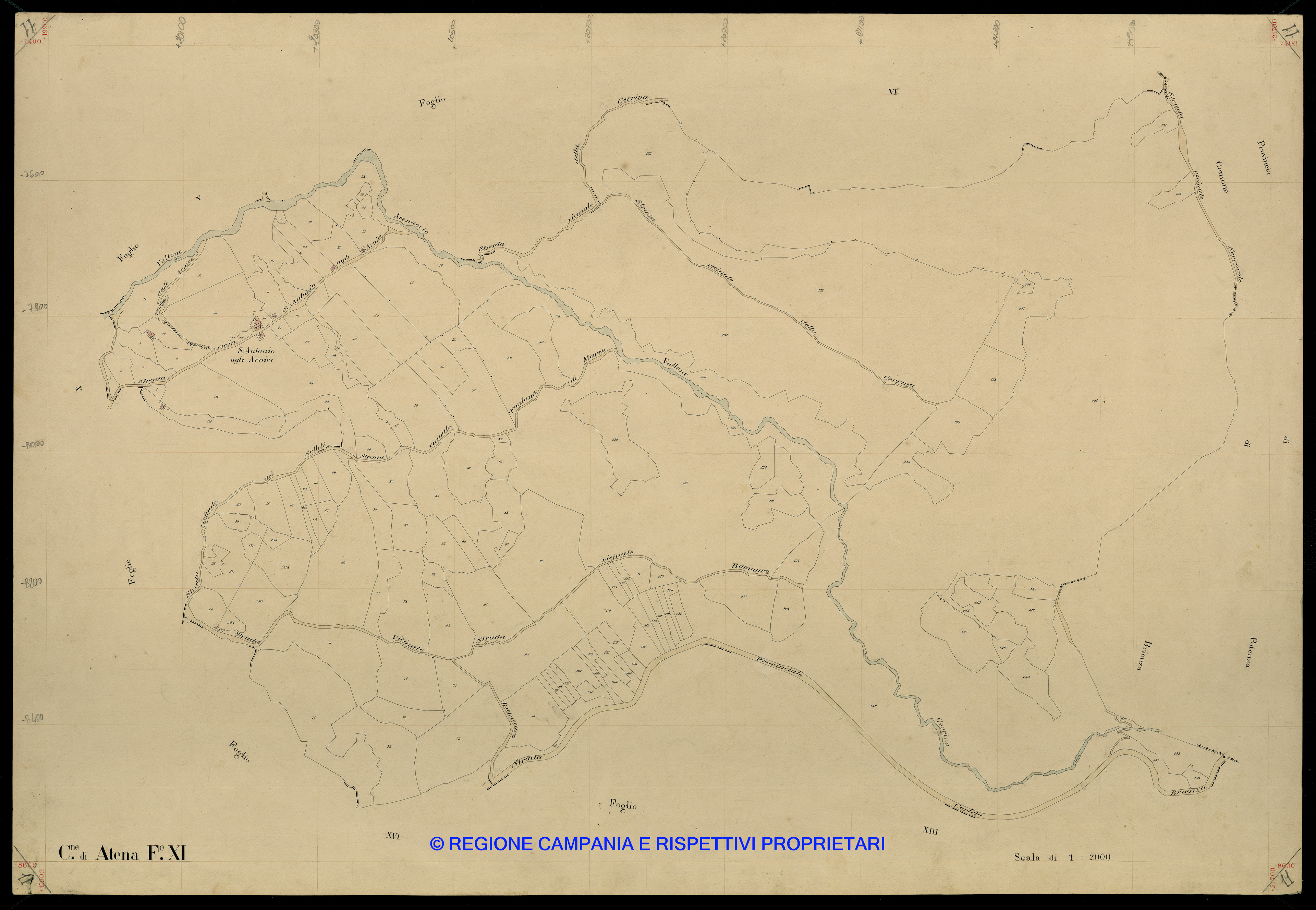 Mappa