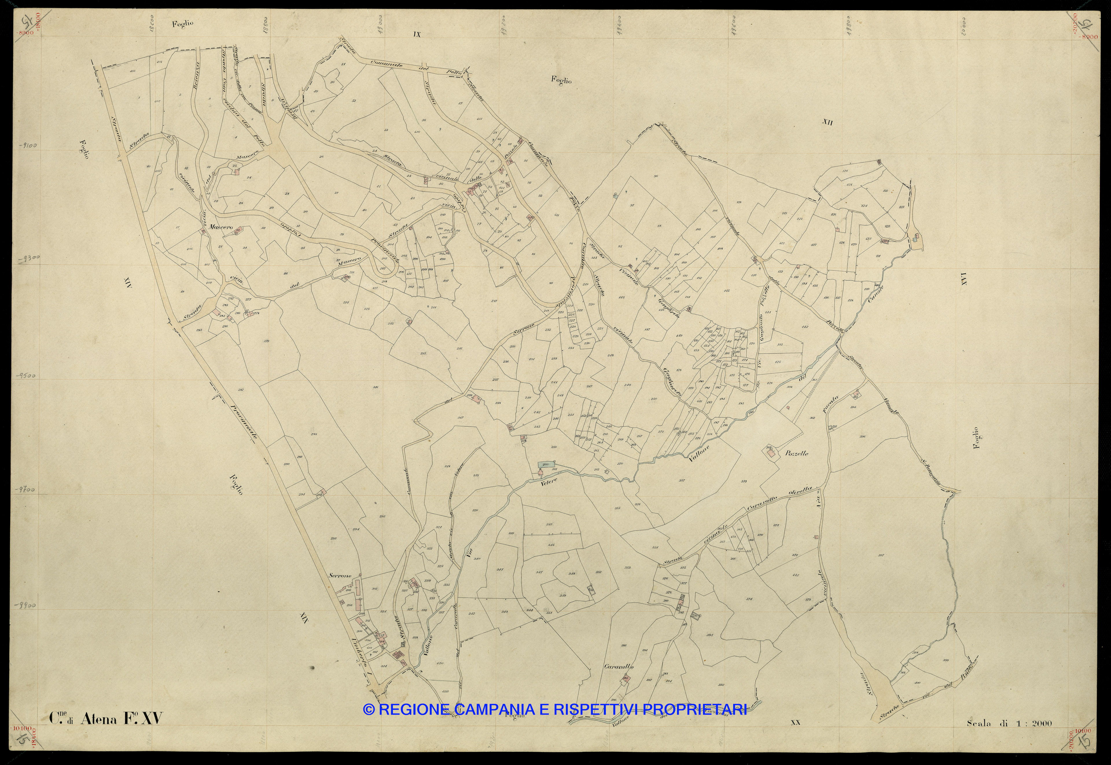 Mappa