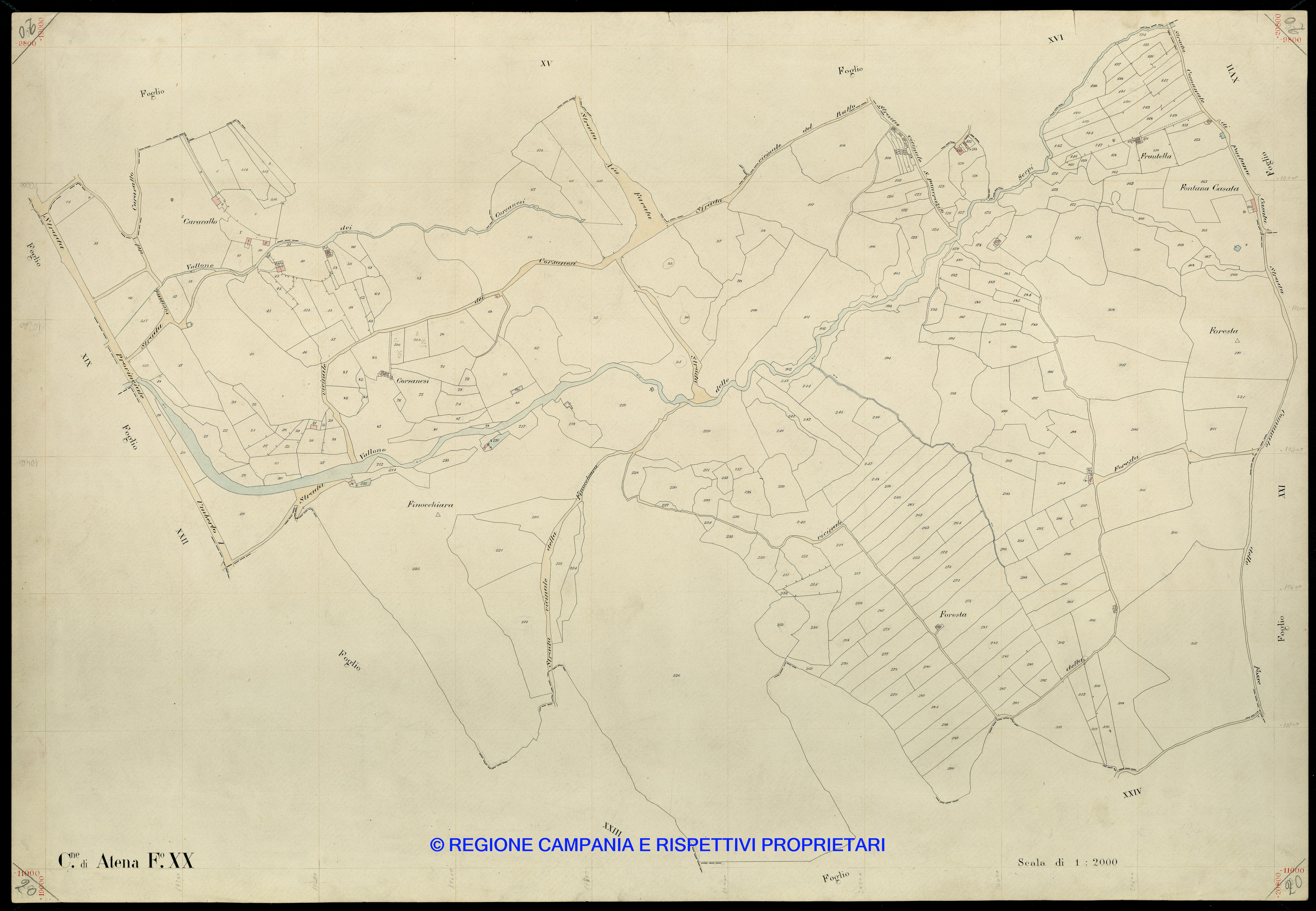 Mappa
