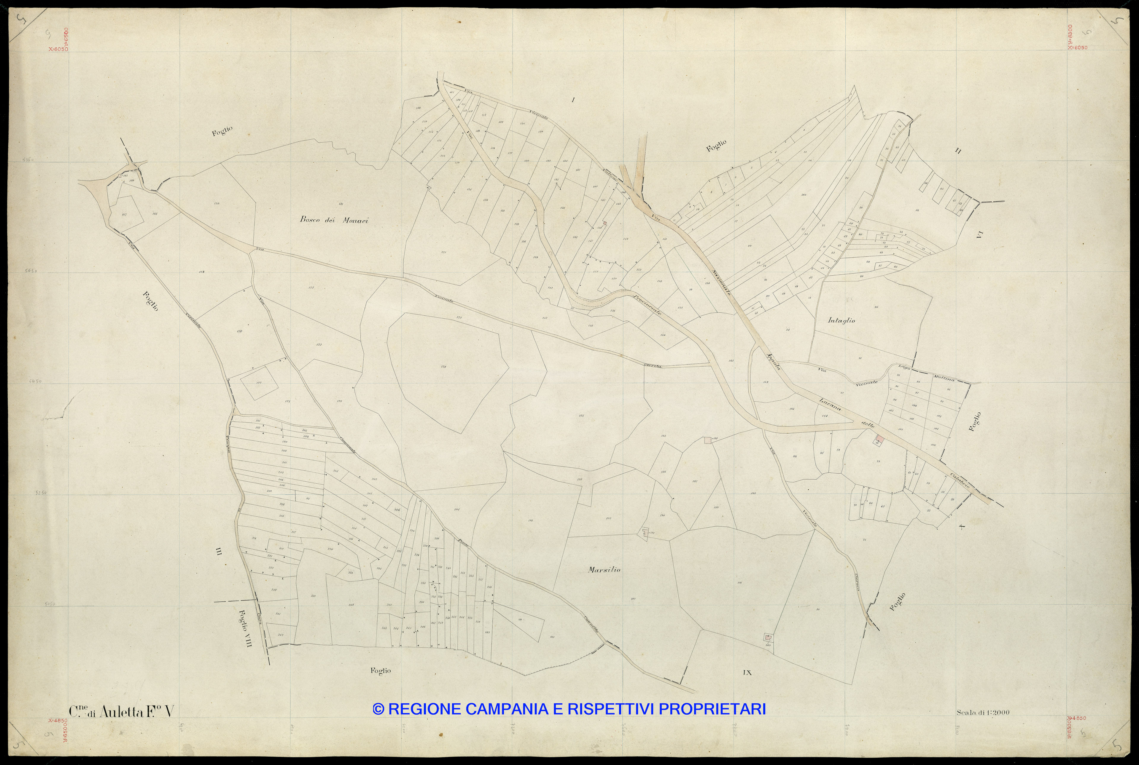 Mappa