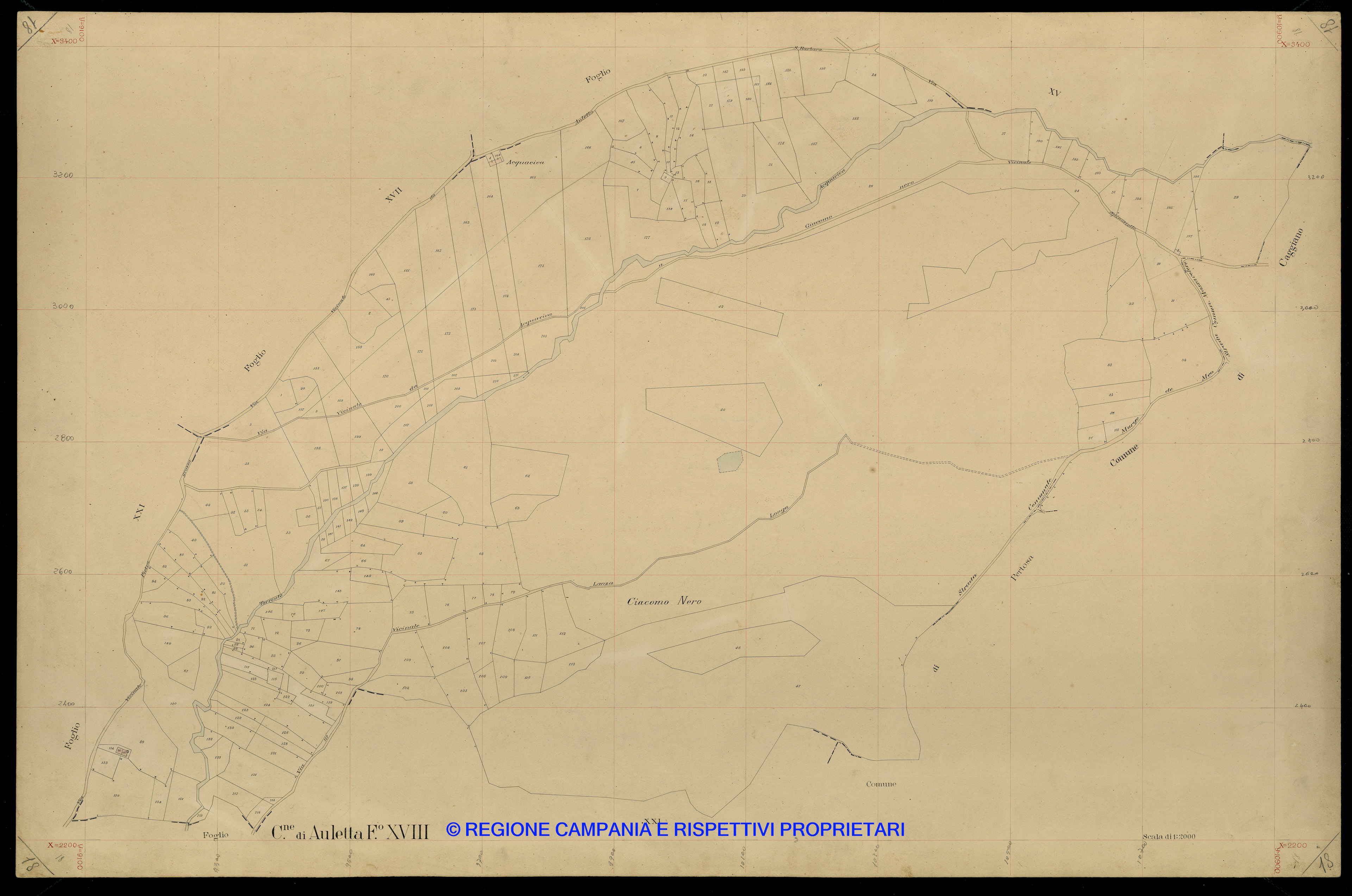 Mappa