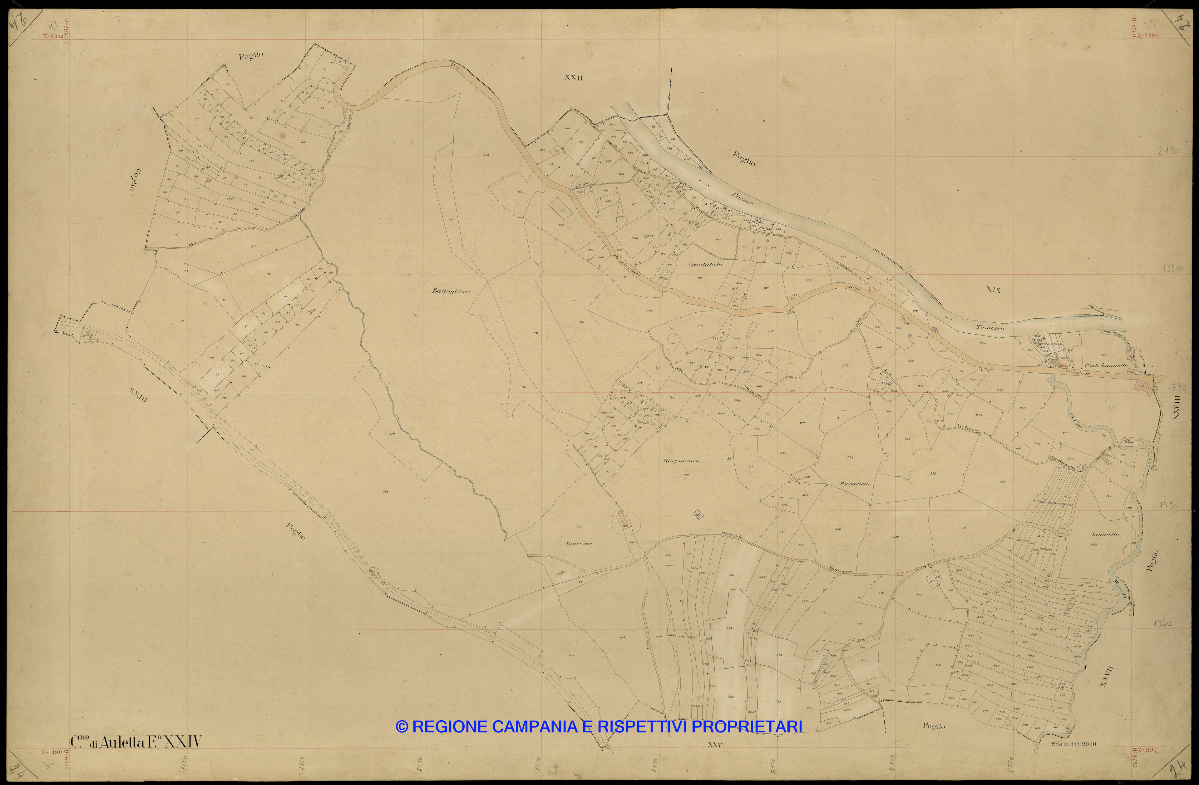 Mappa