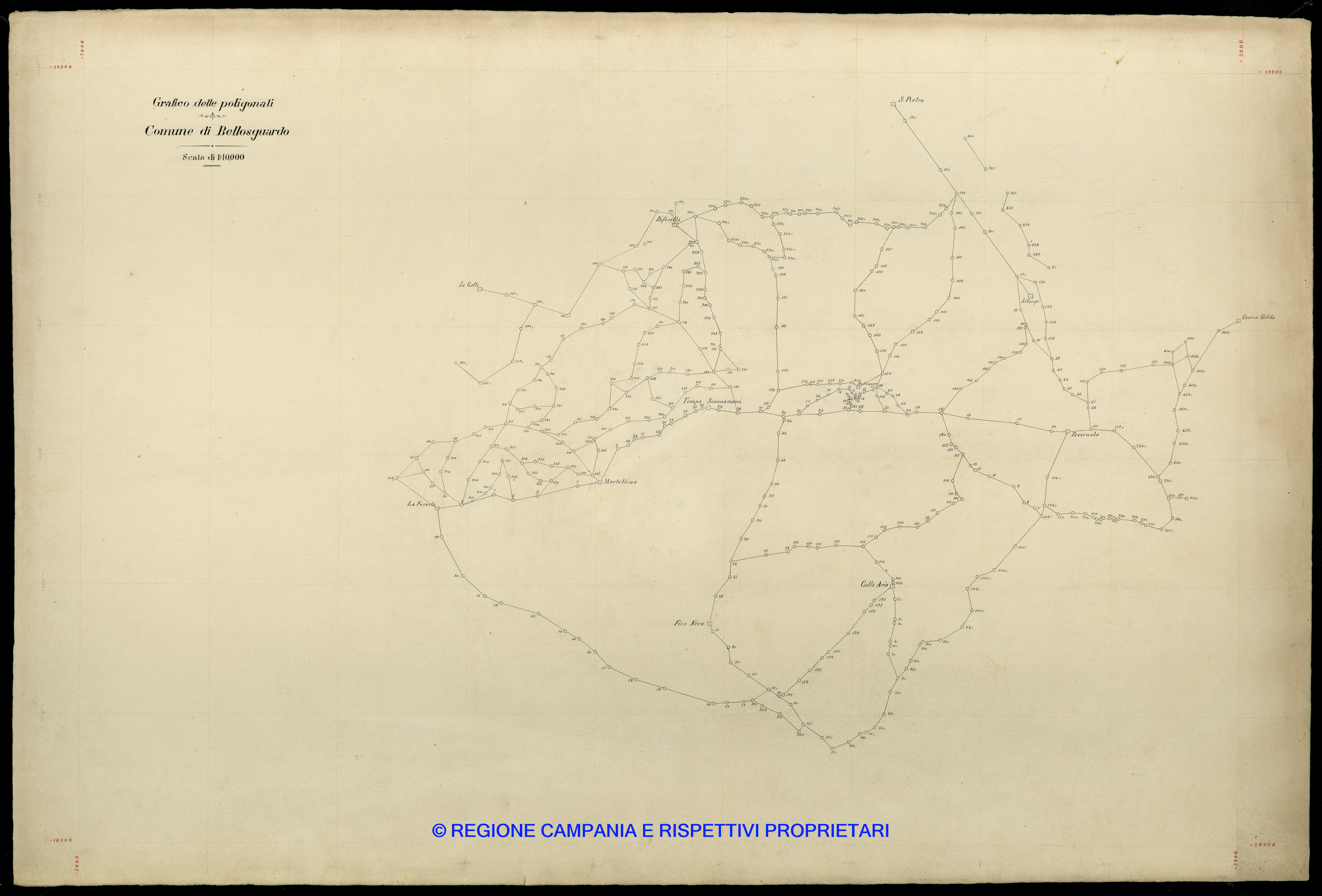 Grafico delle Poligonali