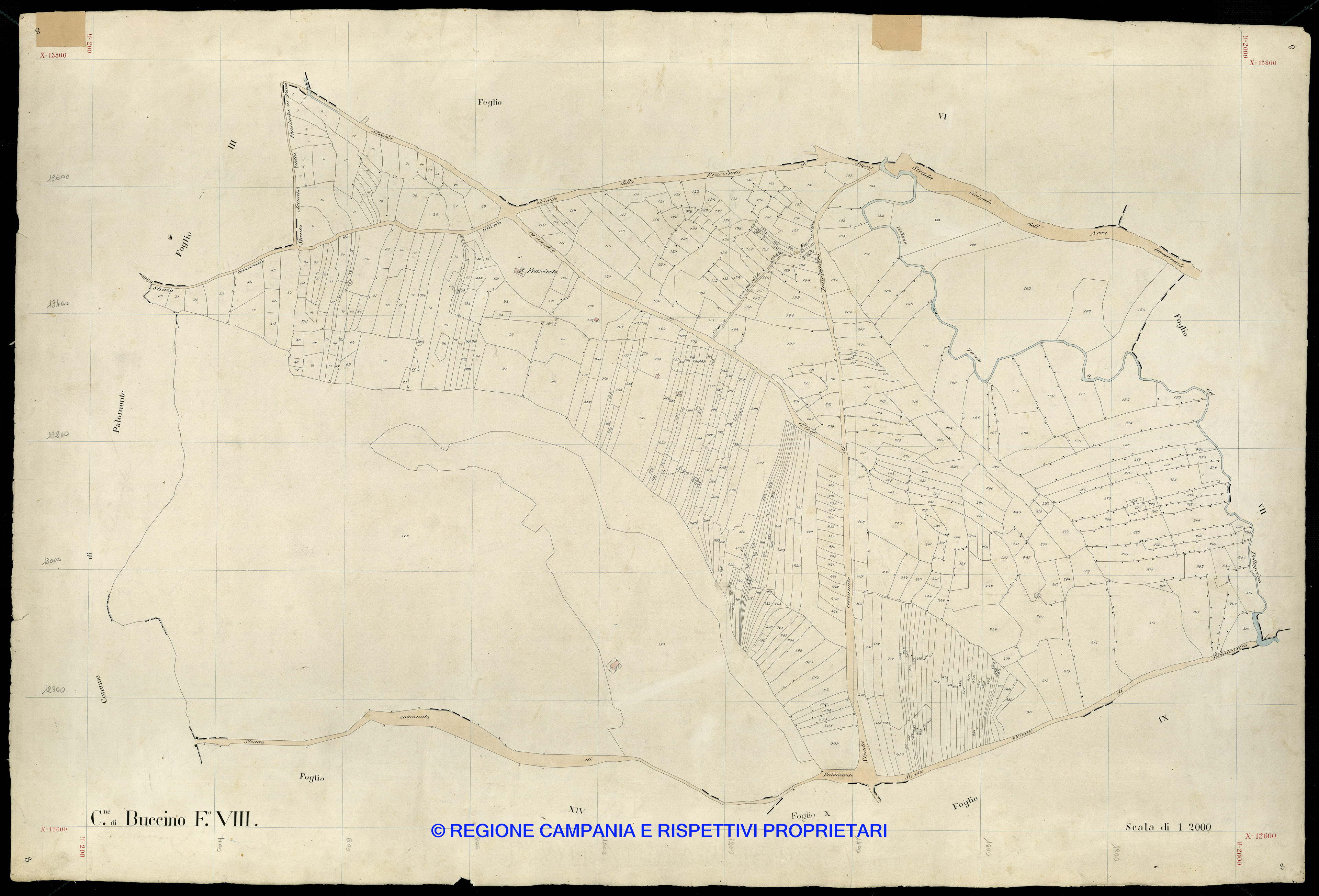 Mappa
