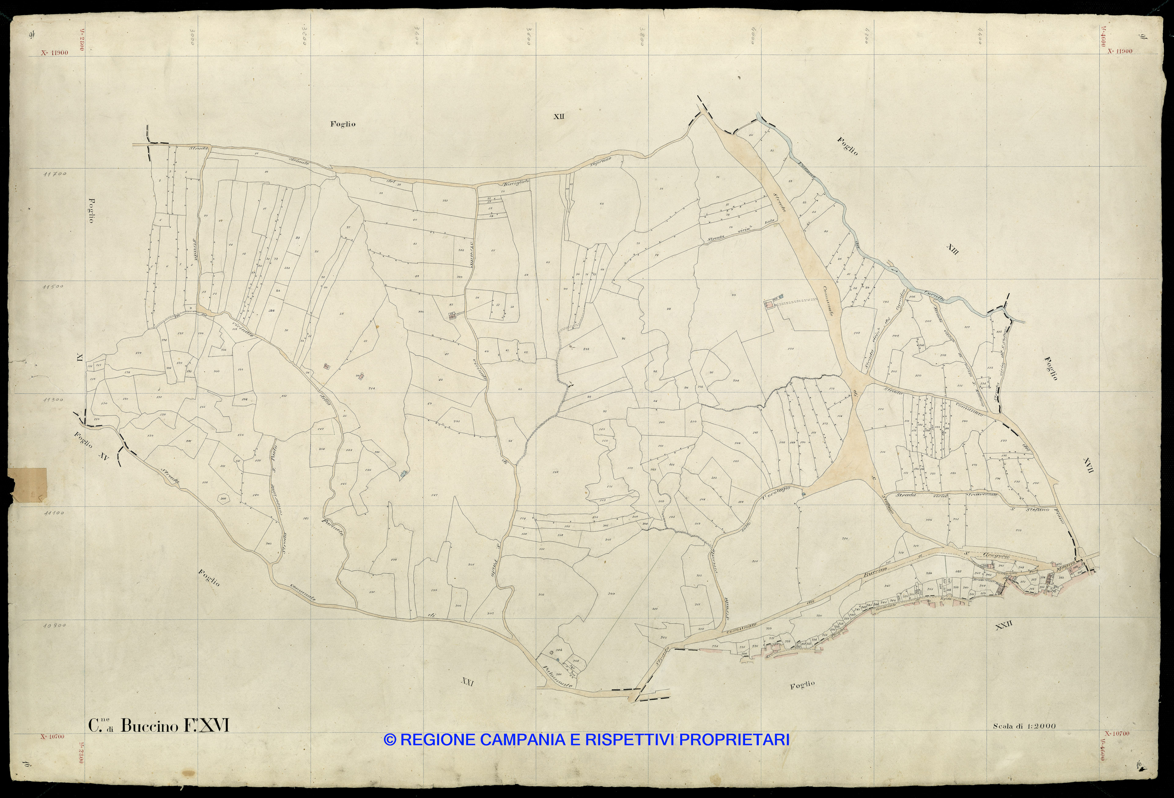 Mappa