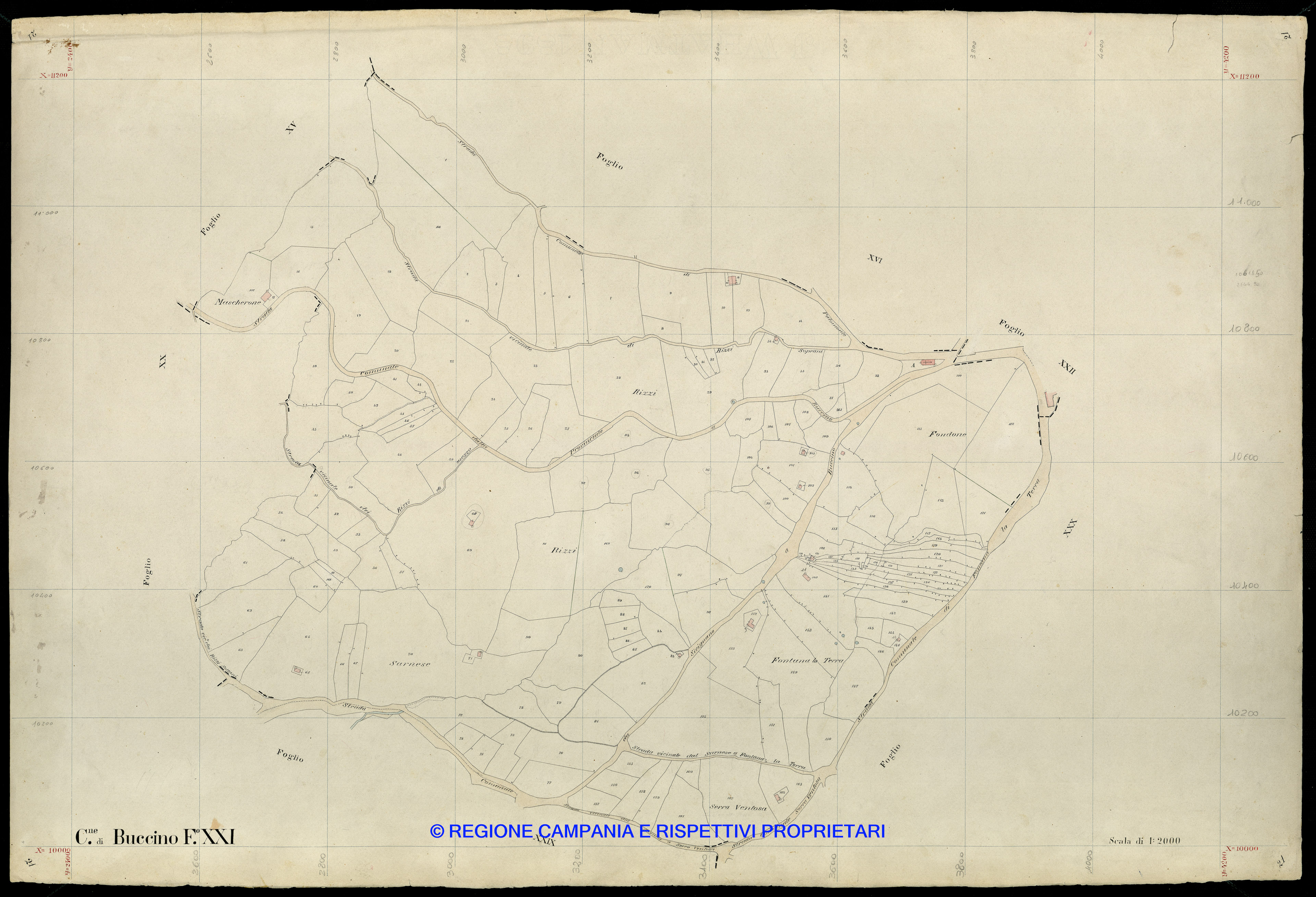 Mappa