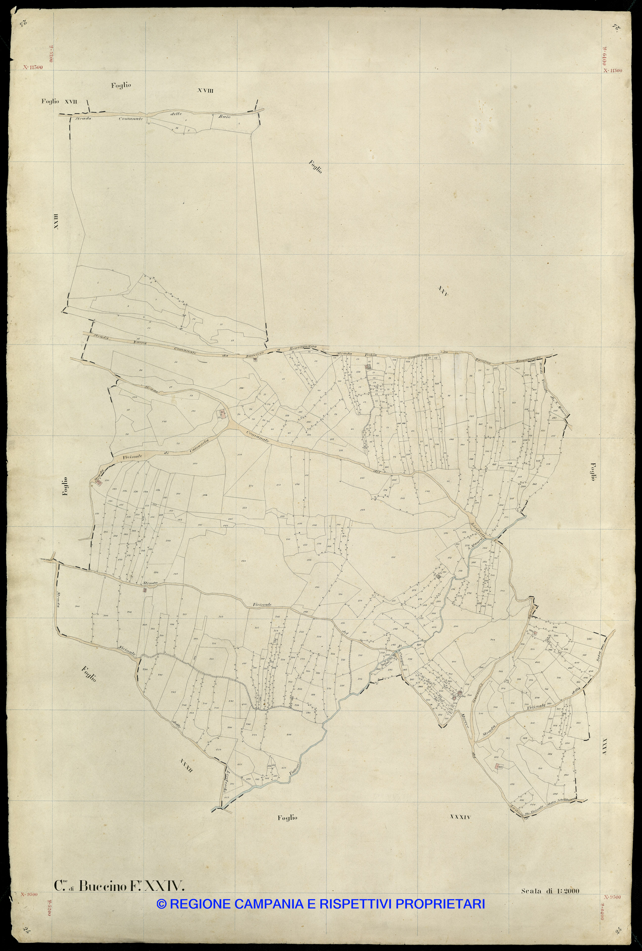 Mappa